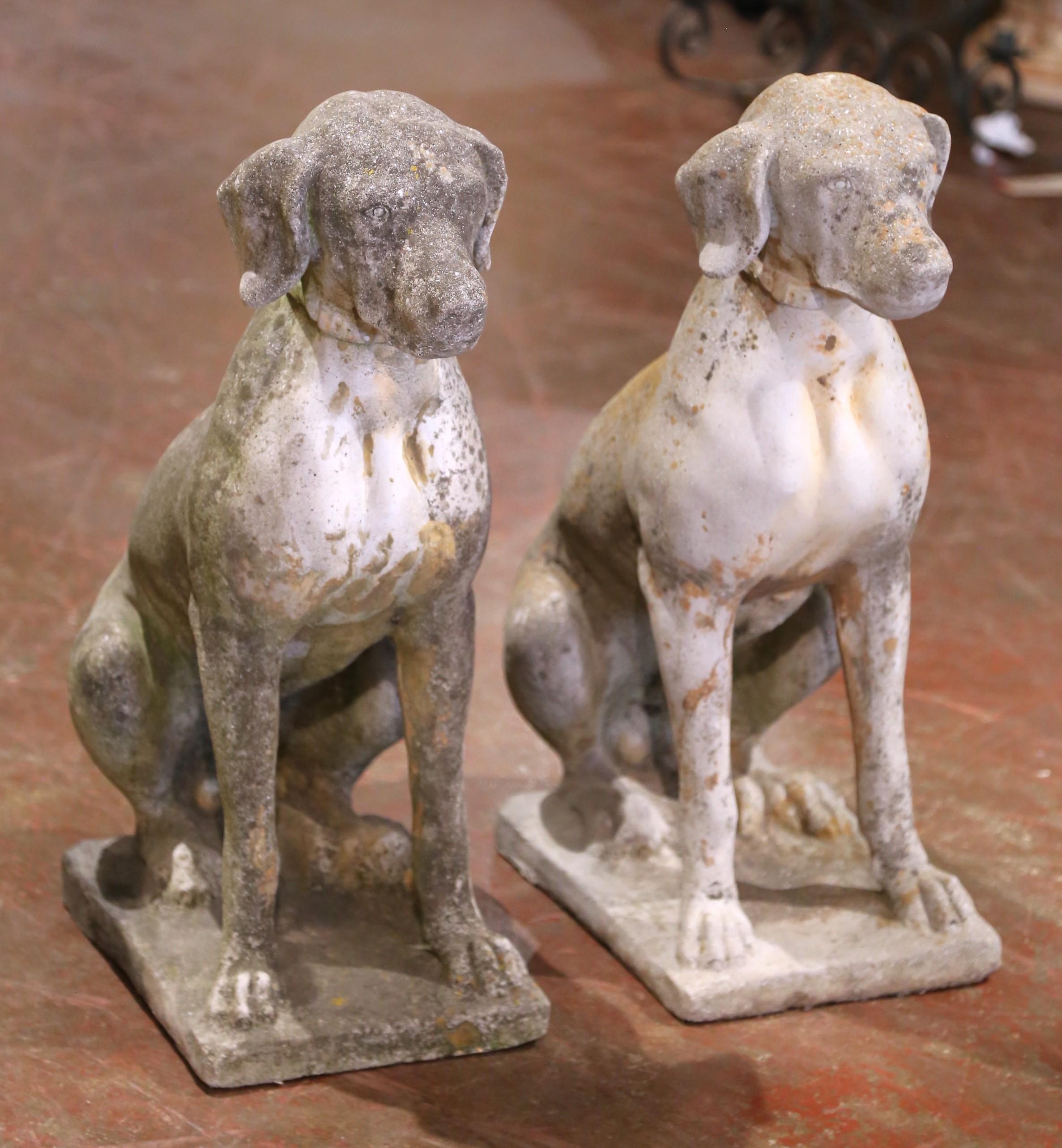 Dai carattere e fascino senza tempo al tuo giardino o al tuo ingresso con questa coppia di sculture di antichi Labrador francesi. Realizzata in Francia intorno al 1920, ogni figura è fusa a mano in pietra e riproduce il modello di un fedele cane da