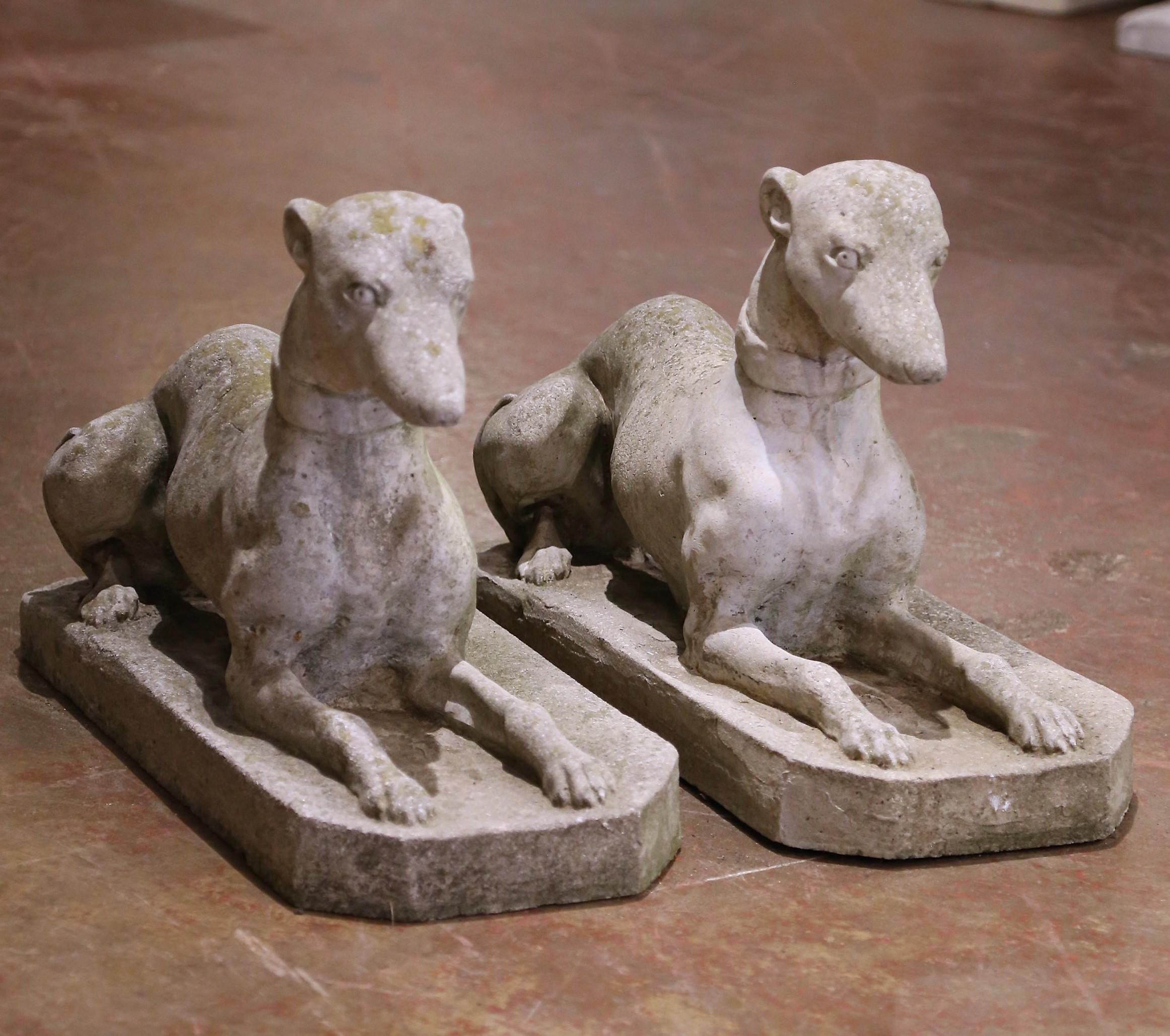 Cette paire expressive de sculptures de chiens en pierre moulée française capture la position équilibrée de labradors assis, modelés avec des détails naturalistes et une présence architecturale. Fabriqué en France vers 1930, chaque chien est moulé à