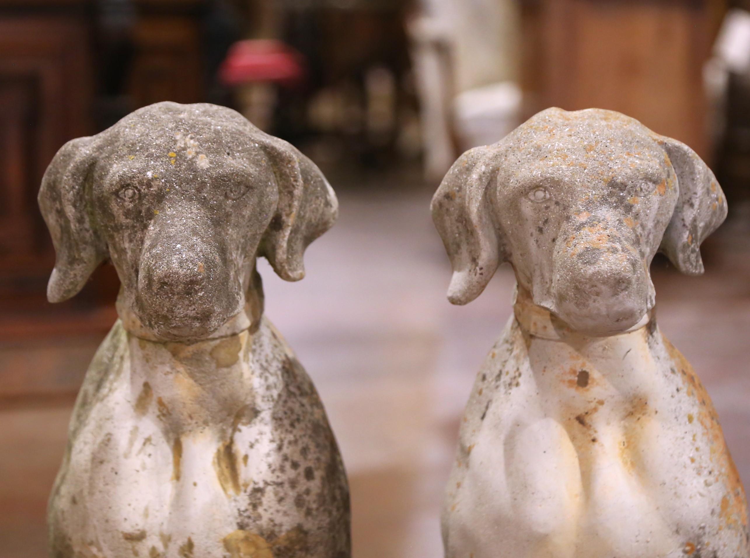 Francese Coppia di sculture di cani in pietra fusa patinata dagli agenti atmosferici francesi dell'inizio del XX secolo in vendita