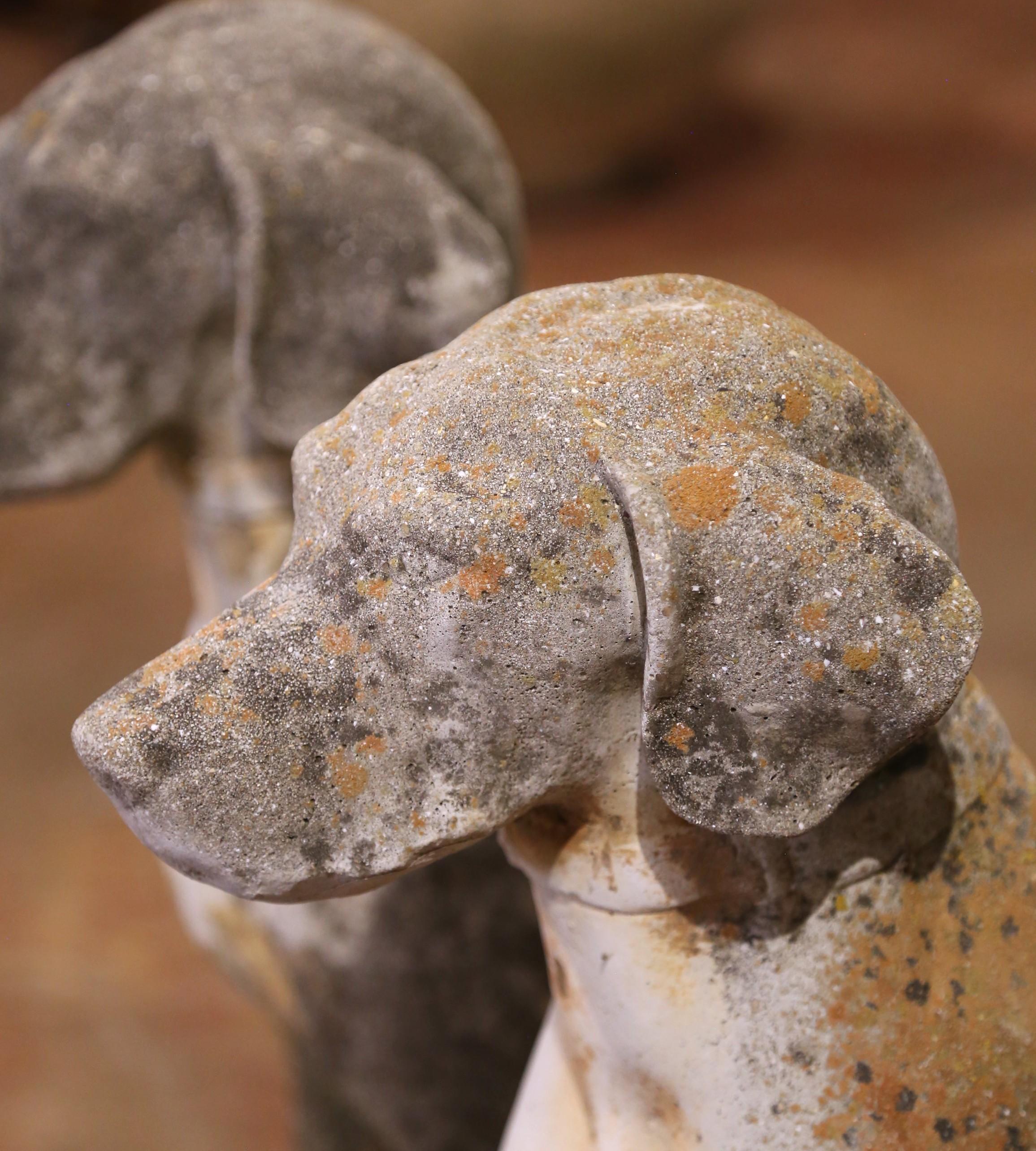 Intagliato a mano Coppia di sculture di cani in pietra fusa patinata dagli agenti atmosferici francesi dell'inizio del XX secolo in vendita