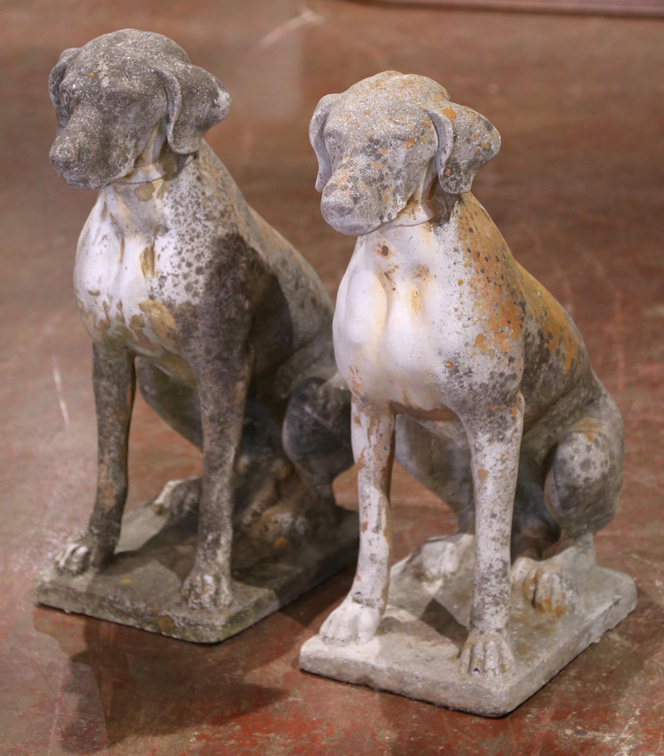 Coppia di sculture di cani in pietra fusa patinata dagli agenti atmosferici francesi dell'inizio del XX secolo In condizioni ottime in vendita a Dallas, TX