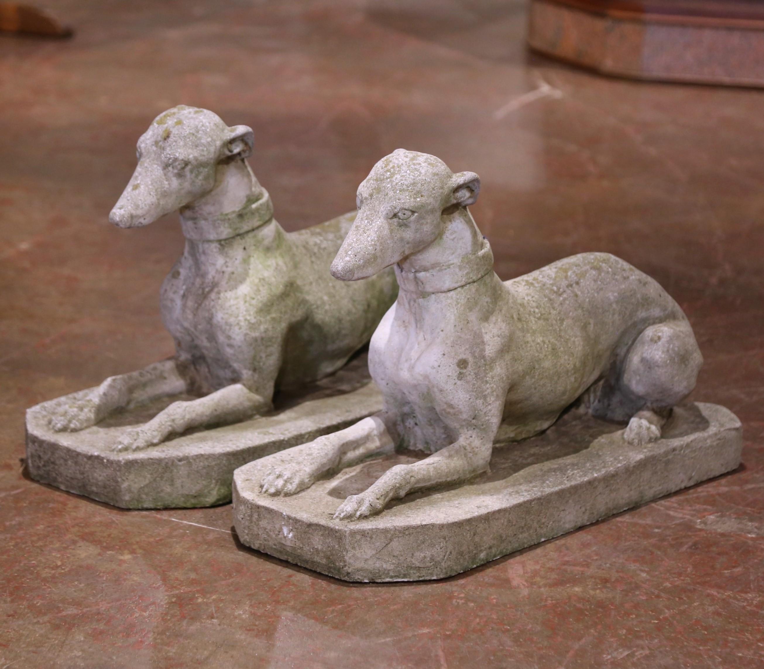 Paire de sculptures de chien en pierre moulée patinée par les intempéries, datant du début du 20e siècle. Excellent état à Dallas, TX