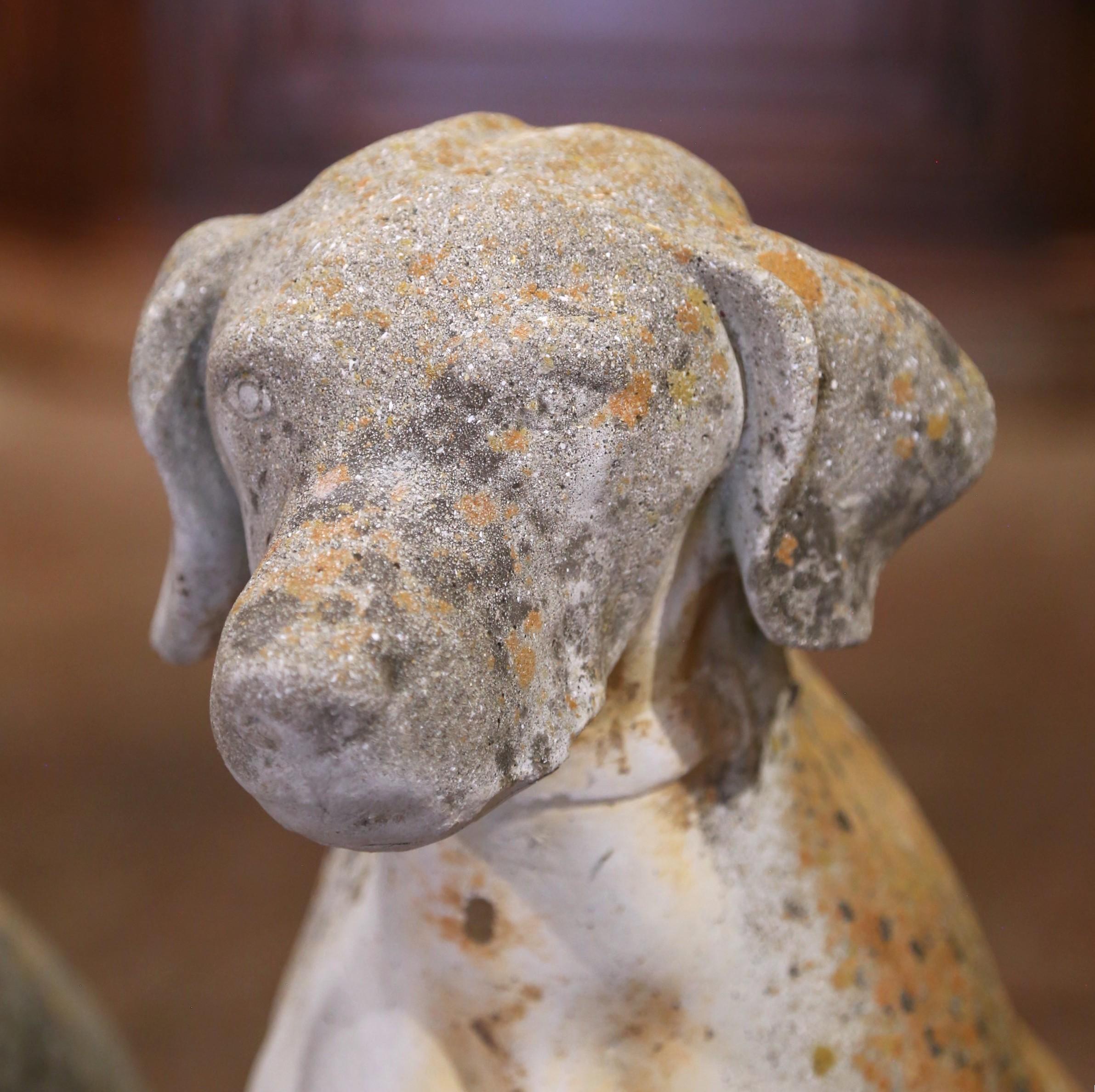 Pietra artificiale Coppia di sculture di cani in pietra fusa patinata dagli agenti atmosferici francesi dell'inizio del XX secolo in vendita