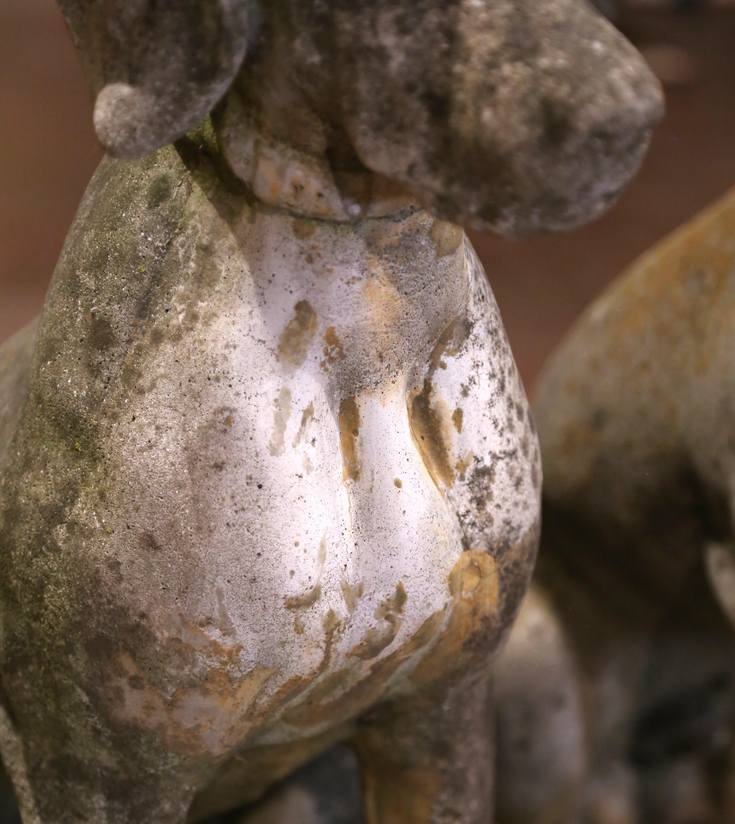 Coppia di sculture di cani in pietra fusa patinata dagli agenti atmosferici francesi dell'inizio del XX secolo in vendita 2