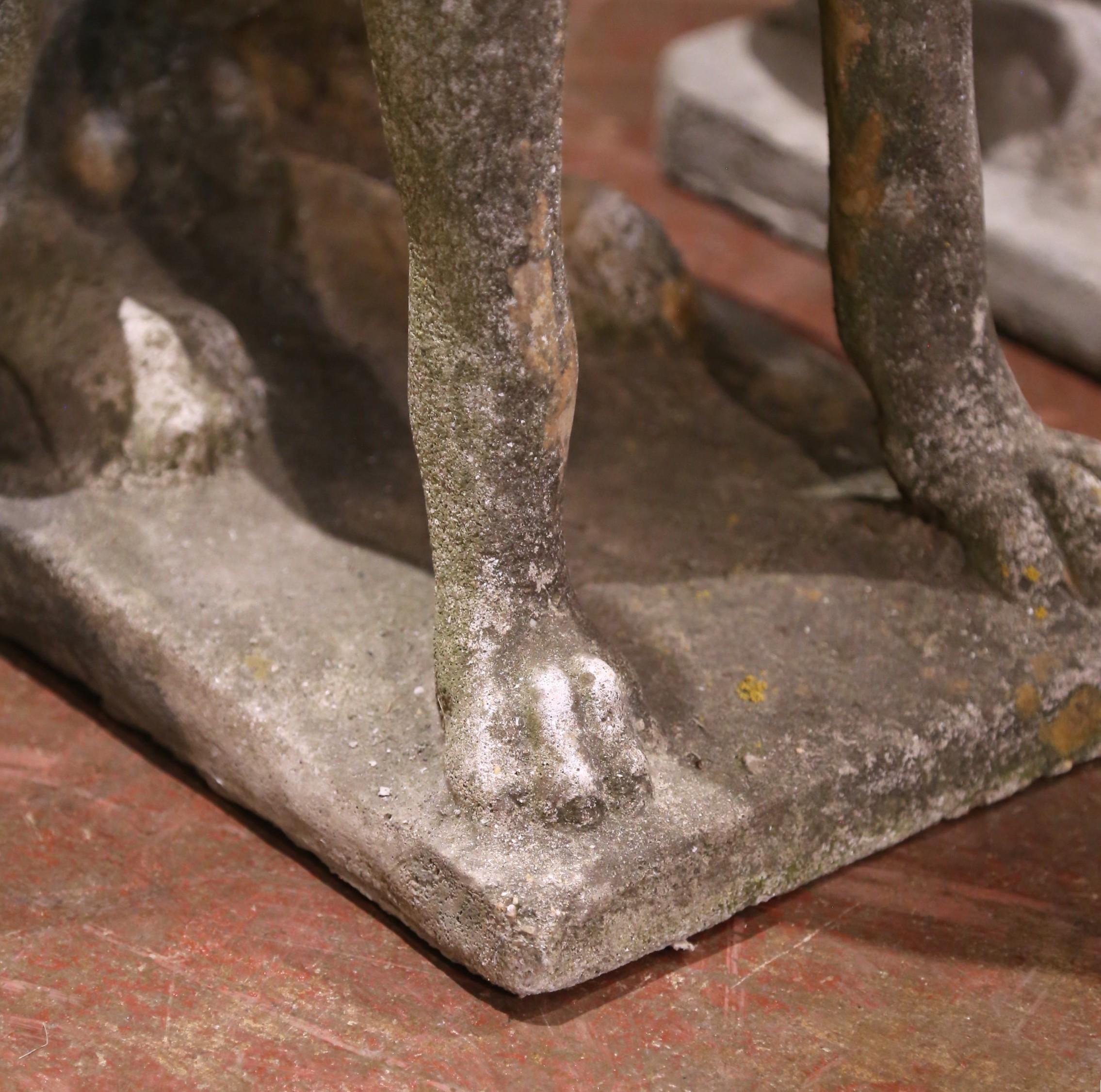 Coppia di sculture di cani in pietra fusa patinata dagli agenti atmosferici francesi dell'inizio del XX secolo in vendita 3