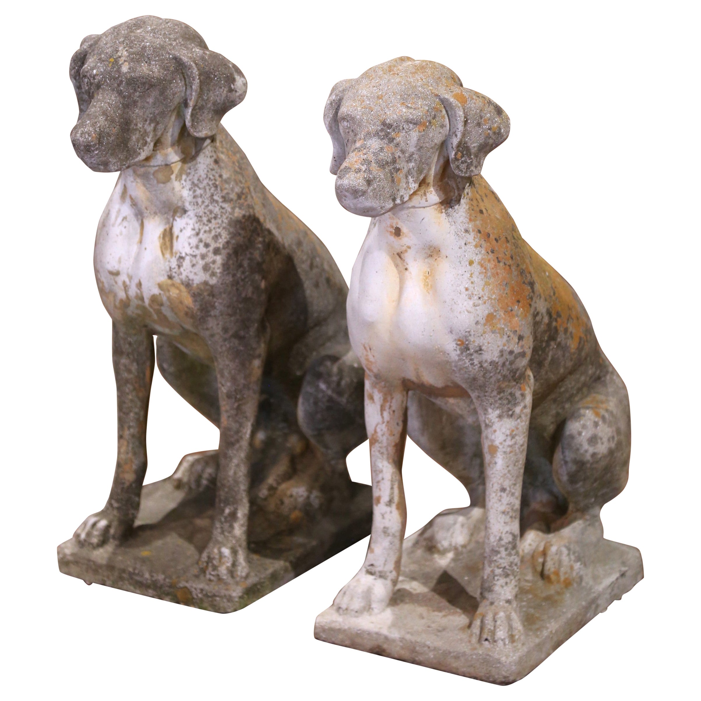 Coppia di sculture di cani in pietra fusa patinata dagli agenti atmosferici francesi dell'inizio del XX secolo in vendita