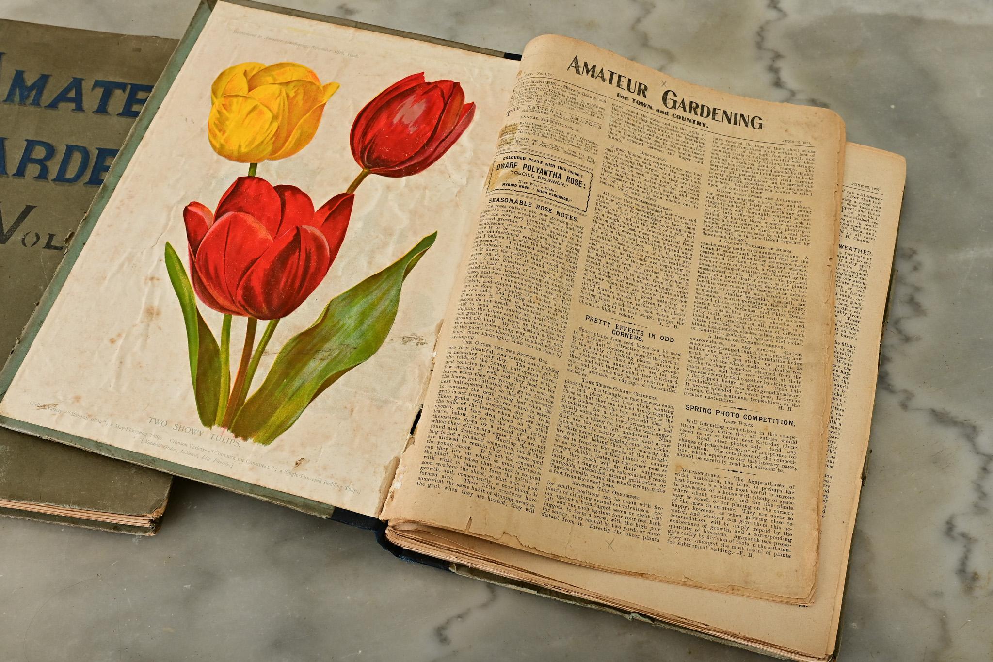 English Pair of Early 20th Century Gardening Books For Sale
