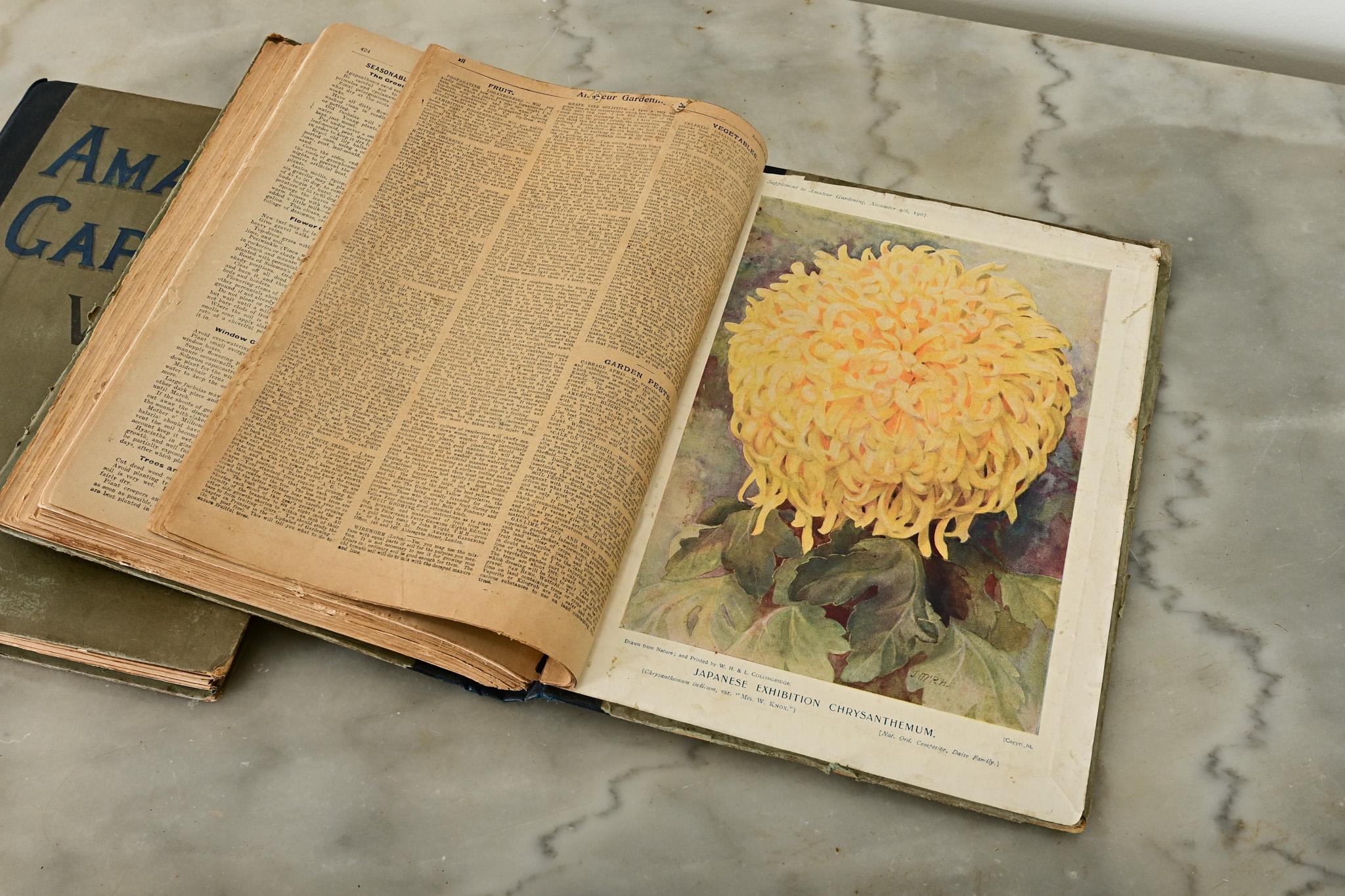Other Pair of Early 20th Century Gardening Books For Sale