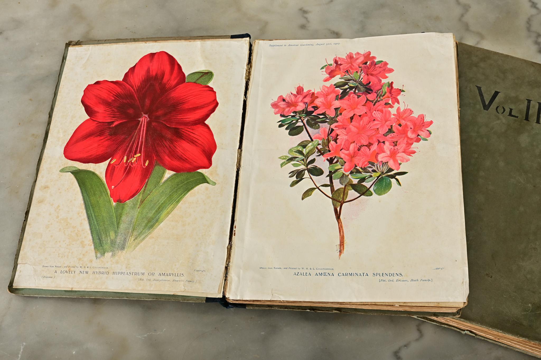 Paper Pair of Early 20th Century Gardening Books For Sale