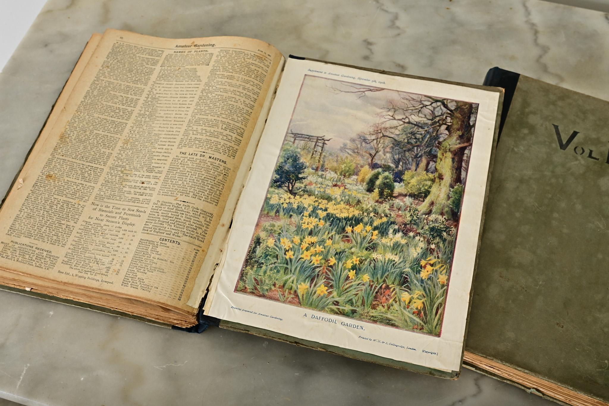 Pair of Early 20th Century Gardening Books For Sale 2