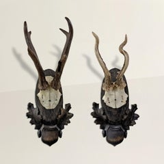 Pair of Early 20th Century German Roe Deer Mounts