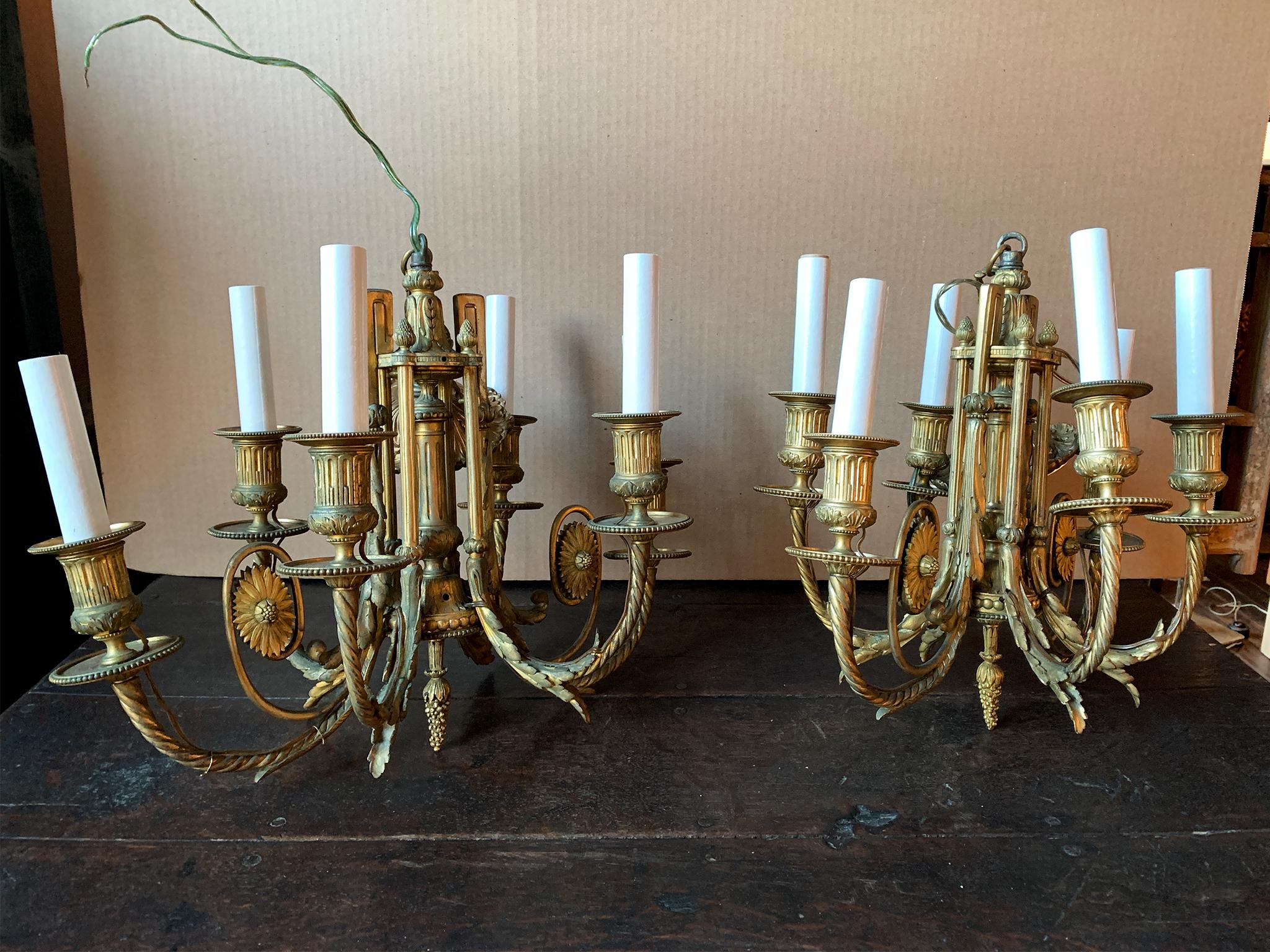Neoclassical Pair of Early 20th Century Gilt Bronze Chandeliers For Sale