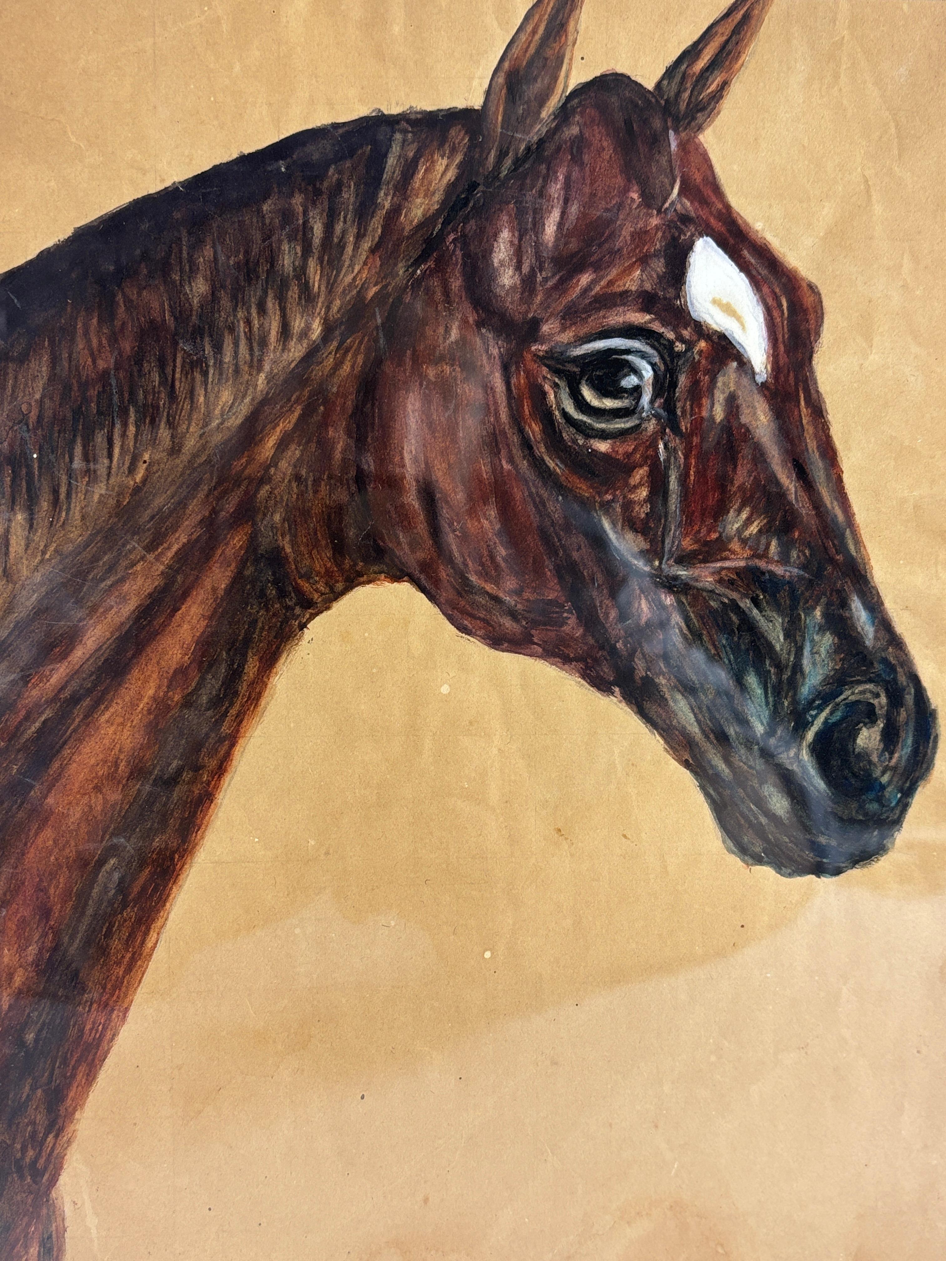 Papier Paire de portraits de chevaux du début du 20e siècle en vente
