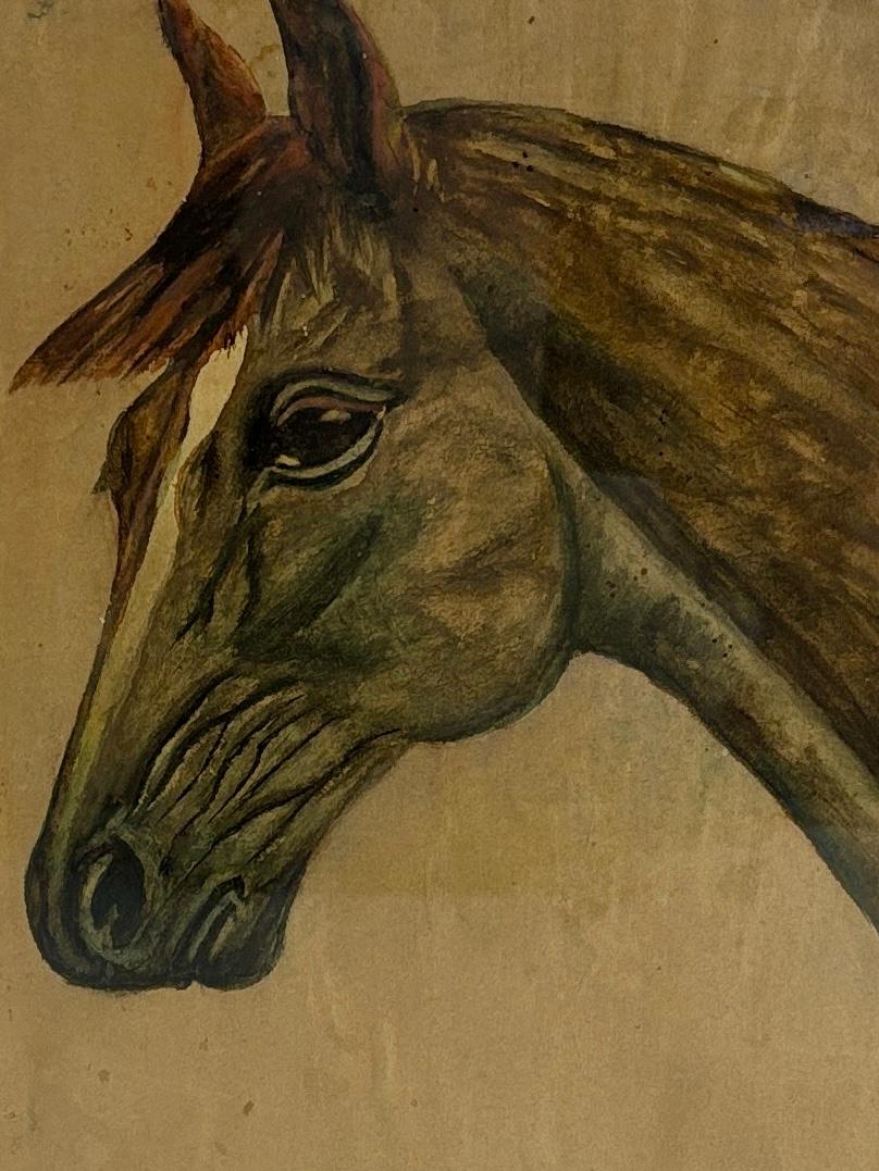 Paire de portraits de chevaux du début du 20e siècle en vente 2