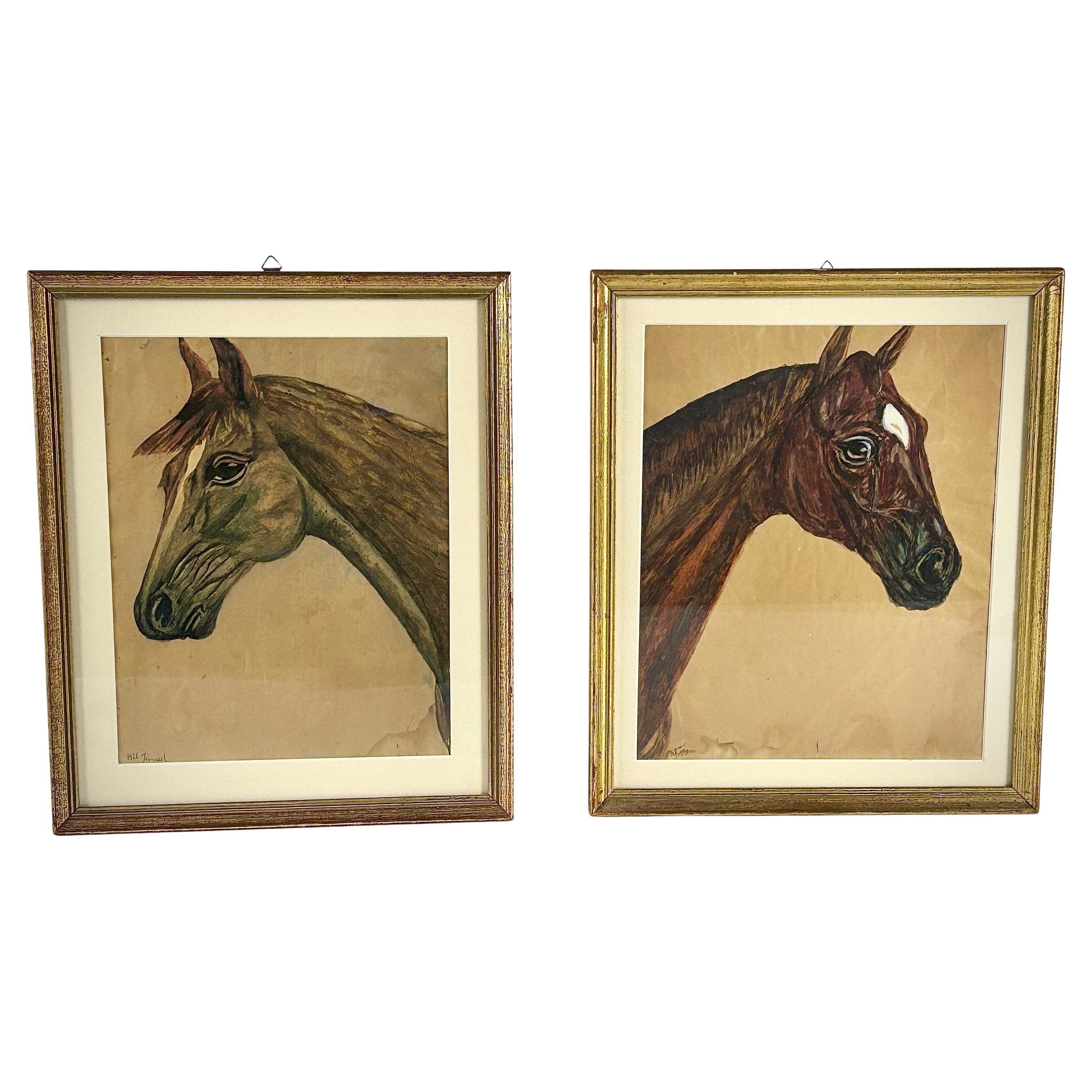 Paire de portraits de chevaux du début du 20e siècle en vente