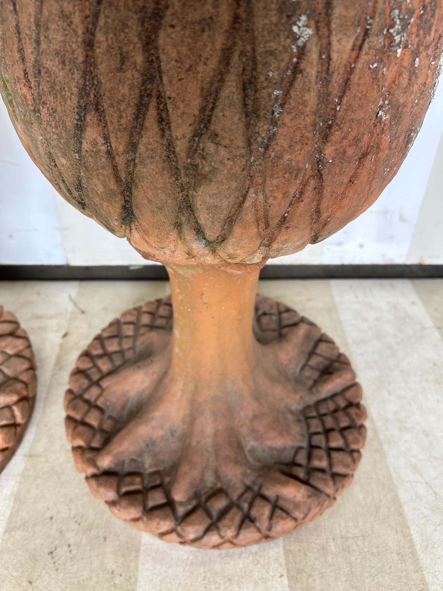 Pareja de remates de ciprés italianos de terracota de principios del siglo XX en venta 2