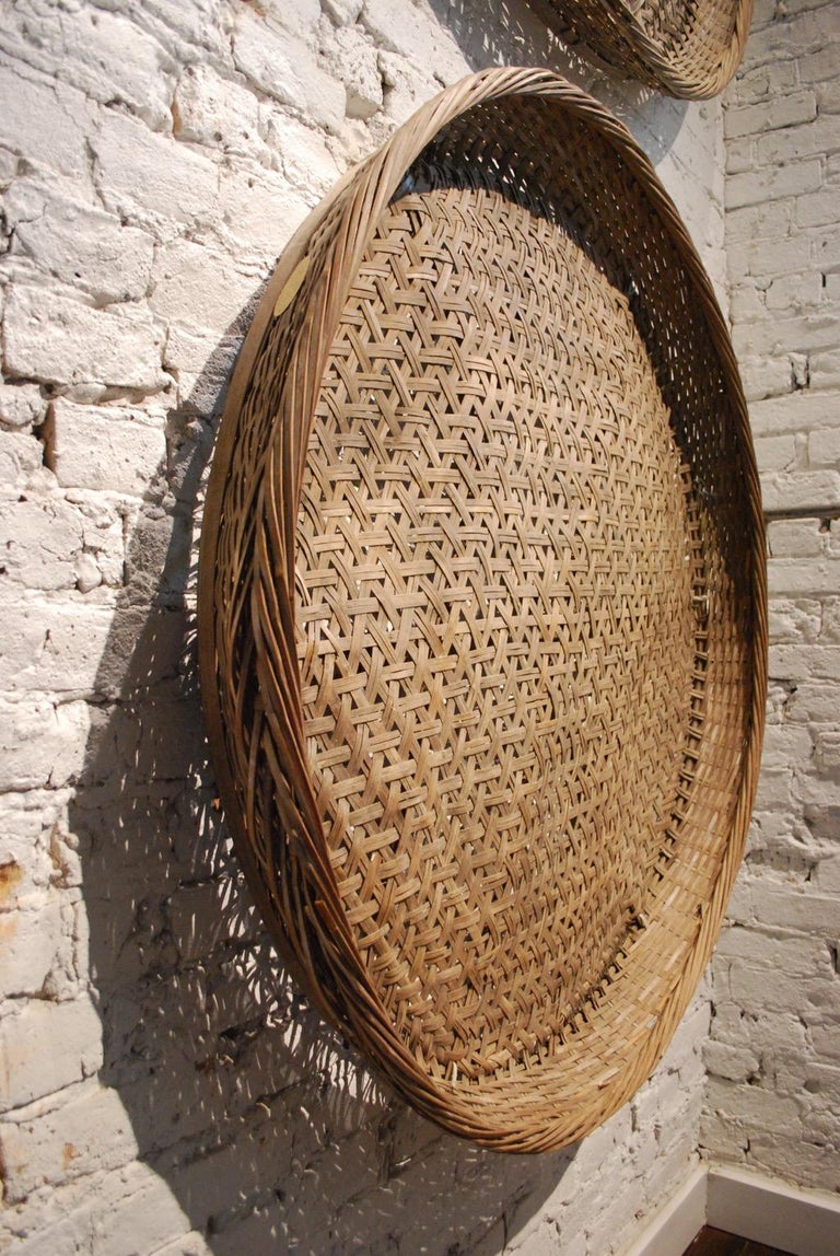 Pair of Early 20th Century Japanese Winnowing Baskets, Pair at 1stDibs