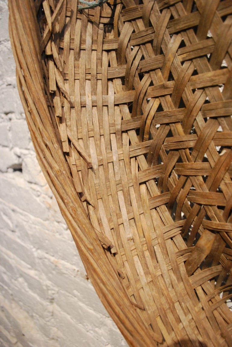 Pair of Early 20th Century Japanese Winnowing Baskets, Pair at 1stDibs