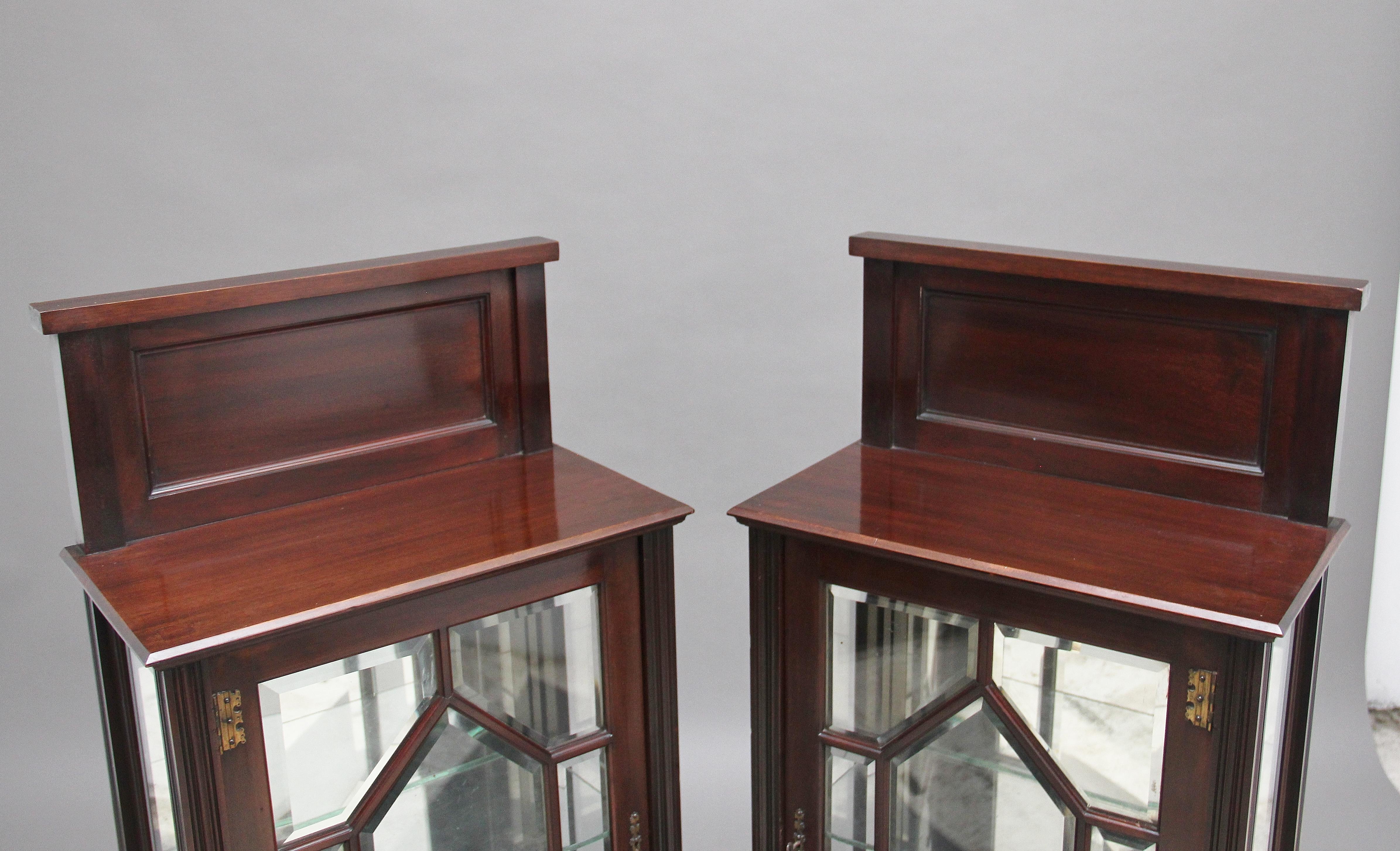 Pair of Early 20th Century Mahogany Display Cabinets For Sale 3