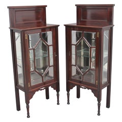 Pair of Early 20th Century Mahogany Display Cabinets