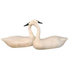 Neoclassical Decoys
