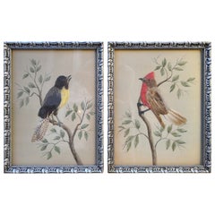 Pair of Early 20th Century Paintings Taxidermy Birds German