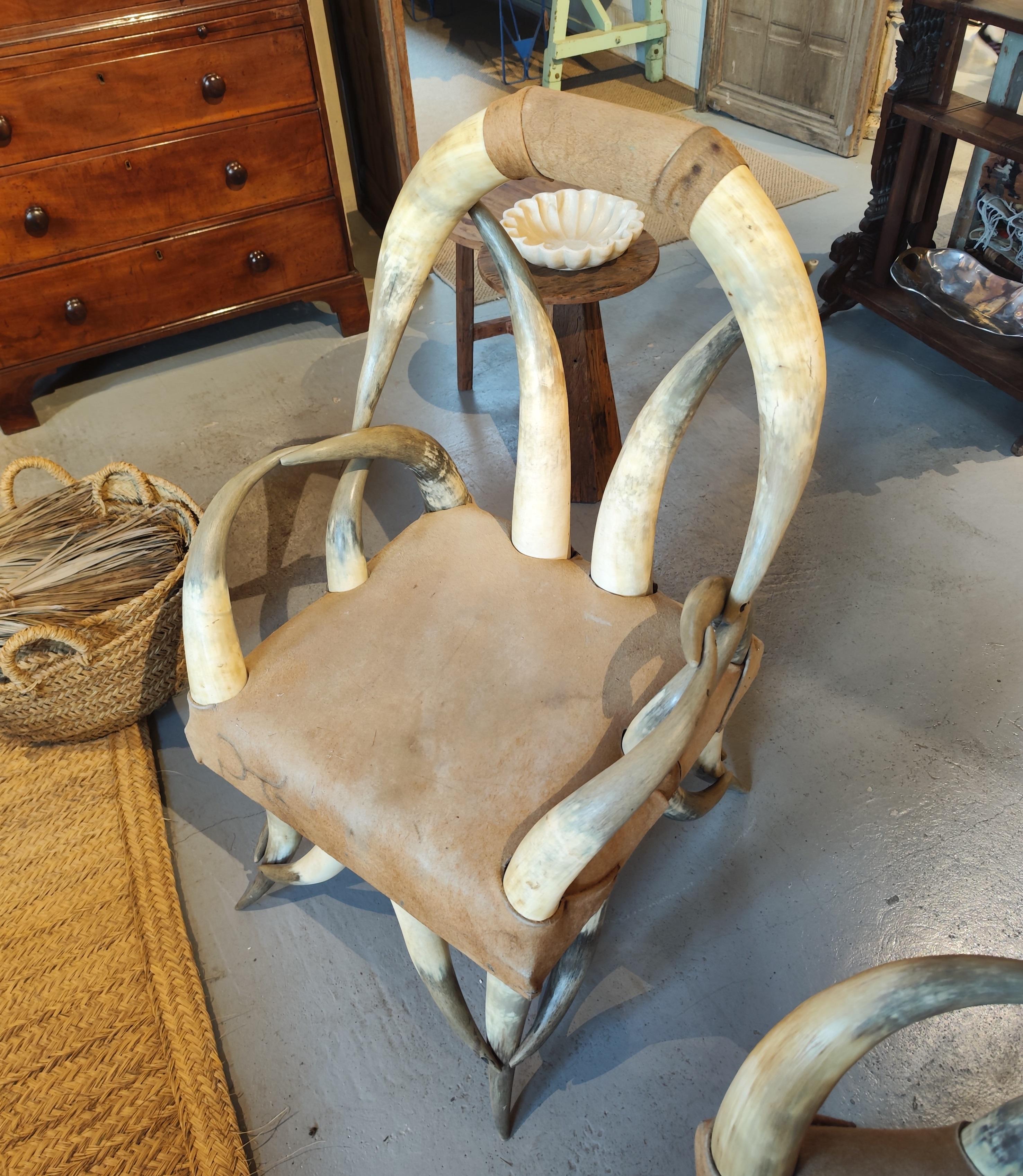 Early 20th Century Pair of Steer Horn Parlor Chair 12