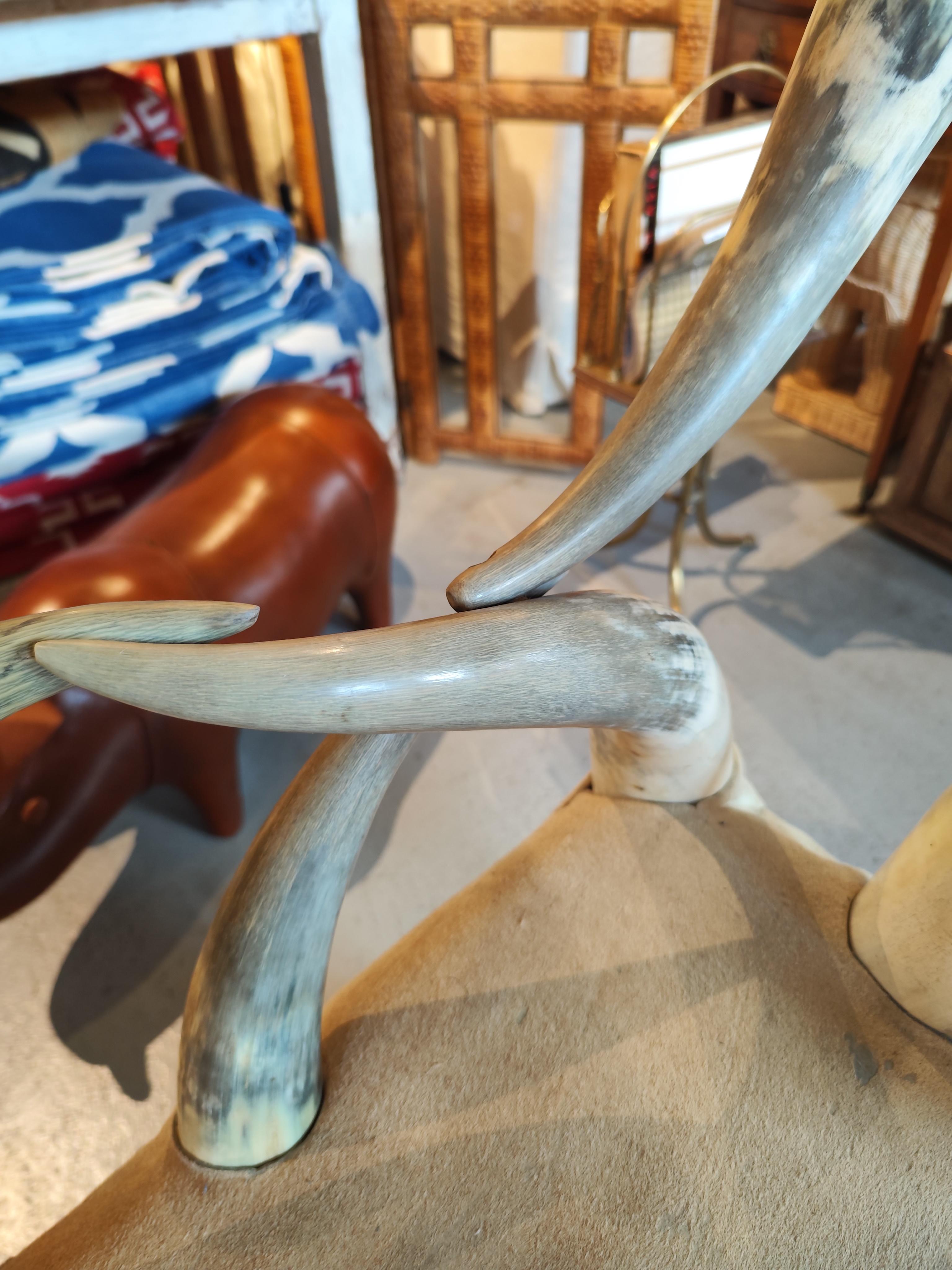 Early 20th Century Pair of Steer Horn Parlor Chair 3
