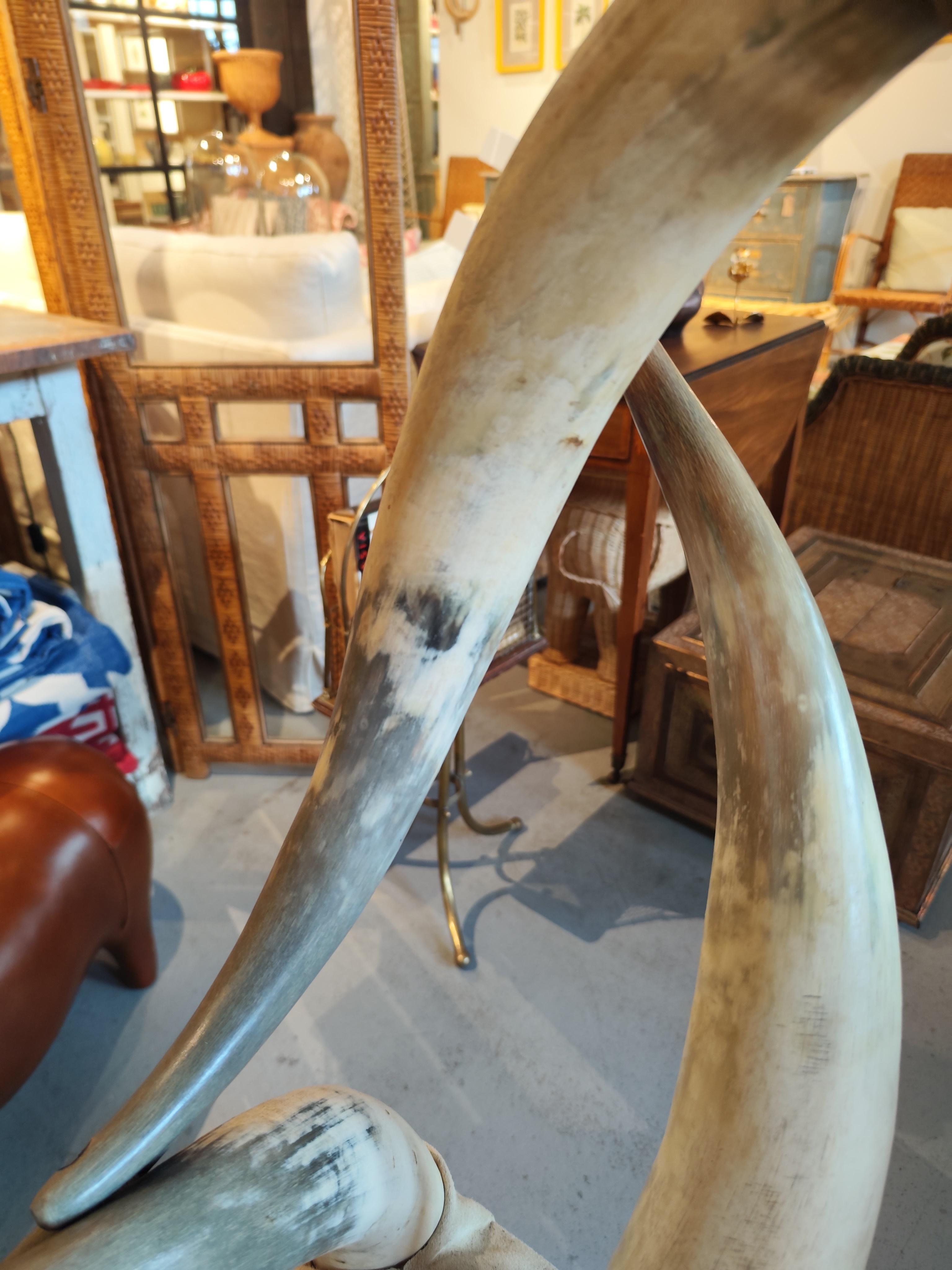 Early 20th Century Pair of Steer Horn Parlor Chair 4