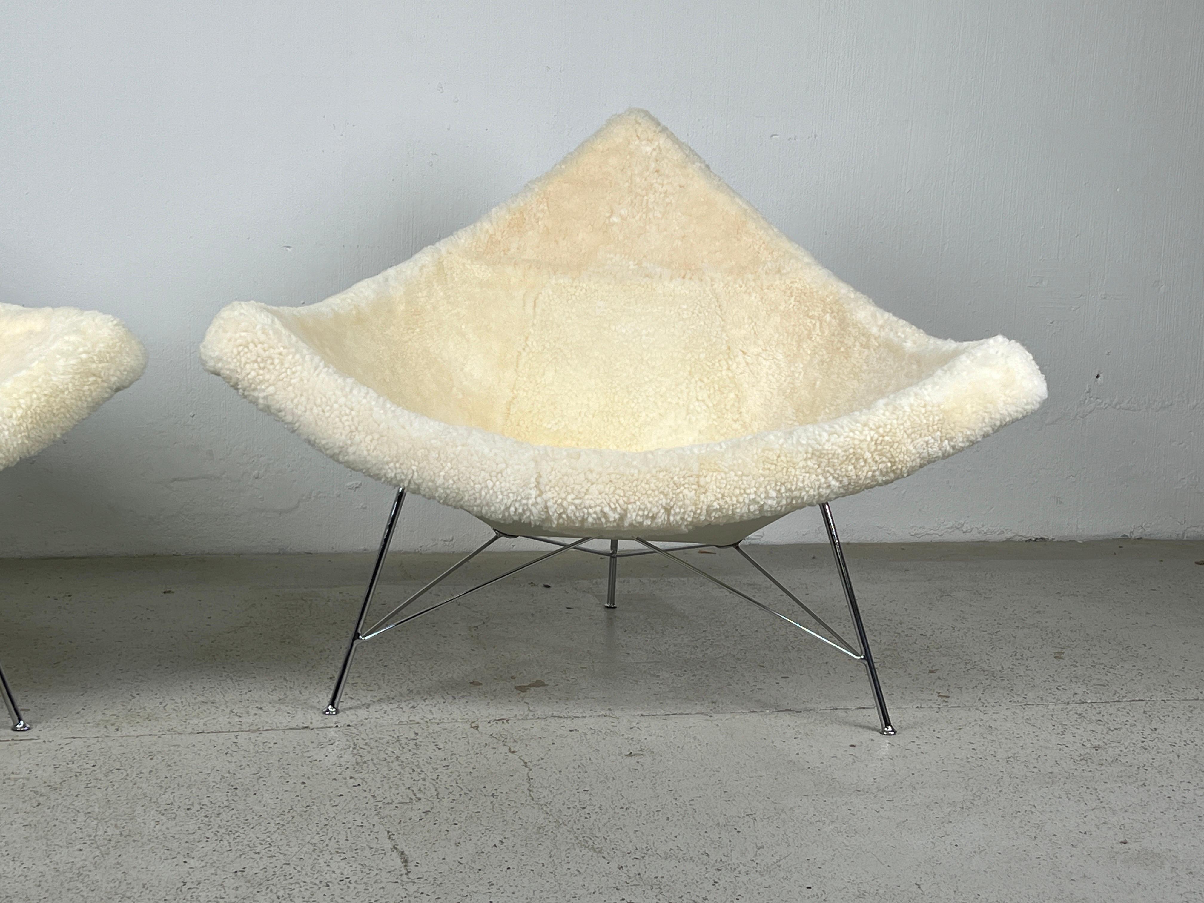 Pair of Early Coconut Chairs by George Nelson for Herman Miller in Shearling  For Sale 6