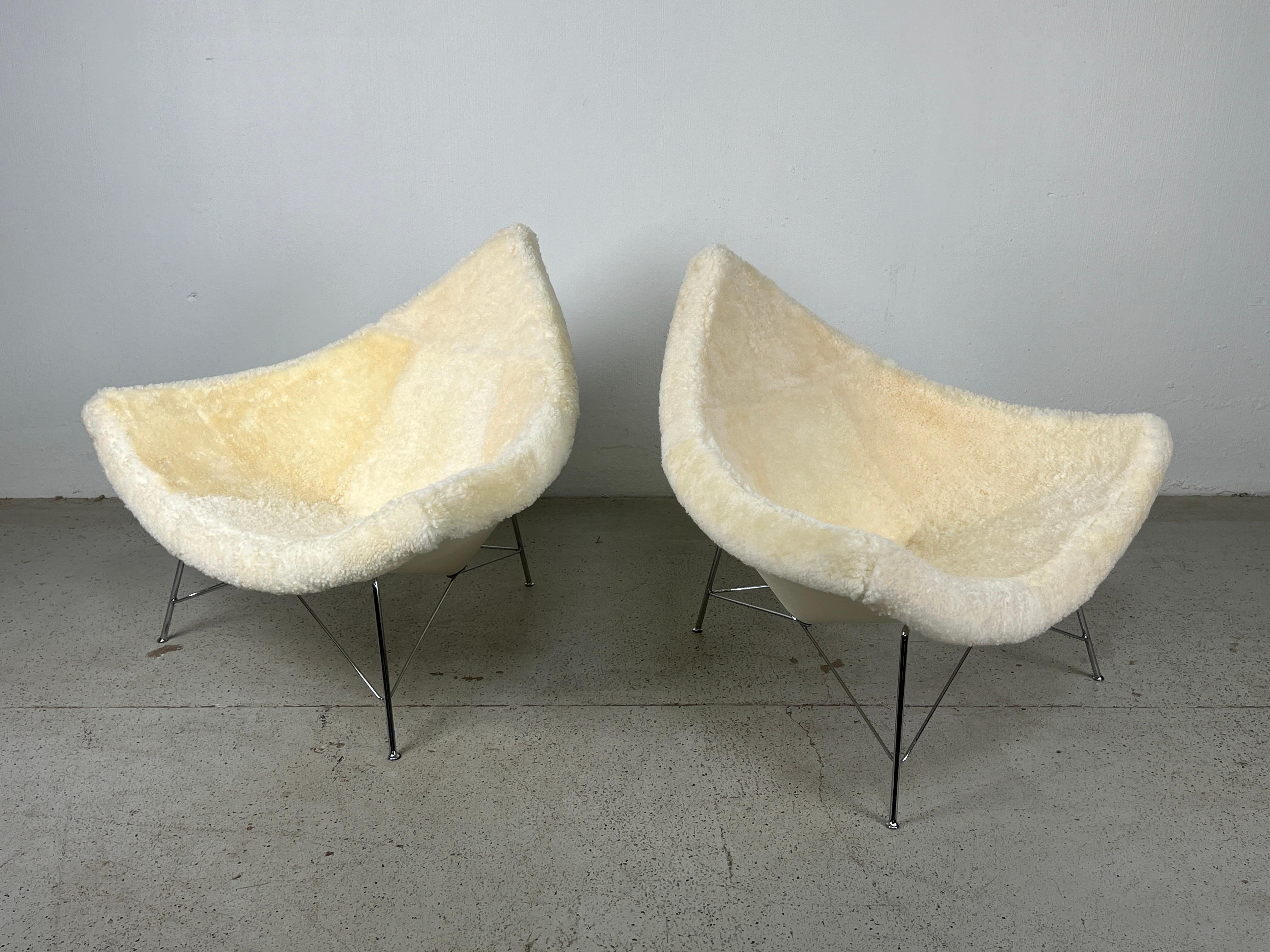 A pair of early metal back Coconut chairs designed by George Nelson for Herman Miller. Fully restored and upholstered in shearling. 