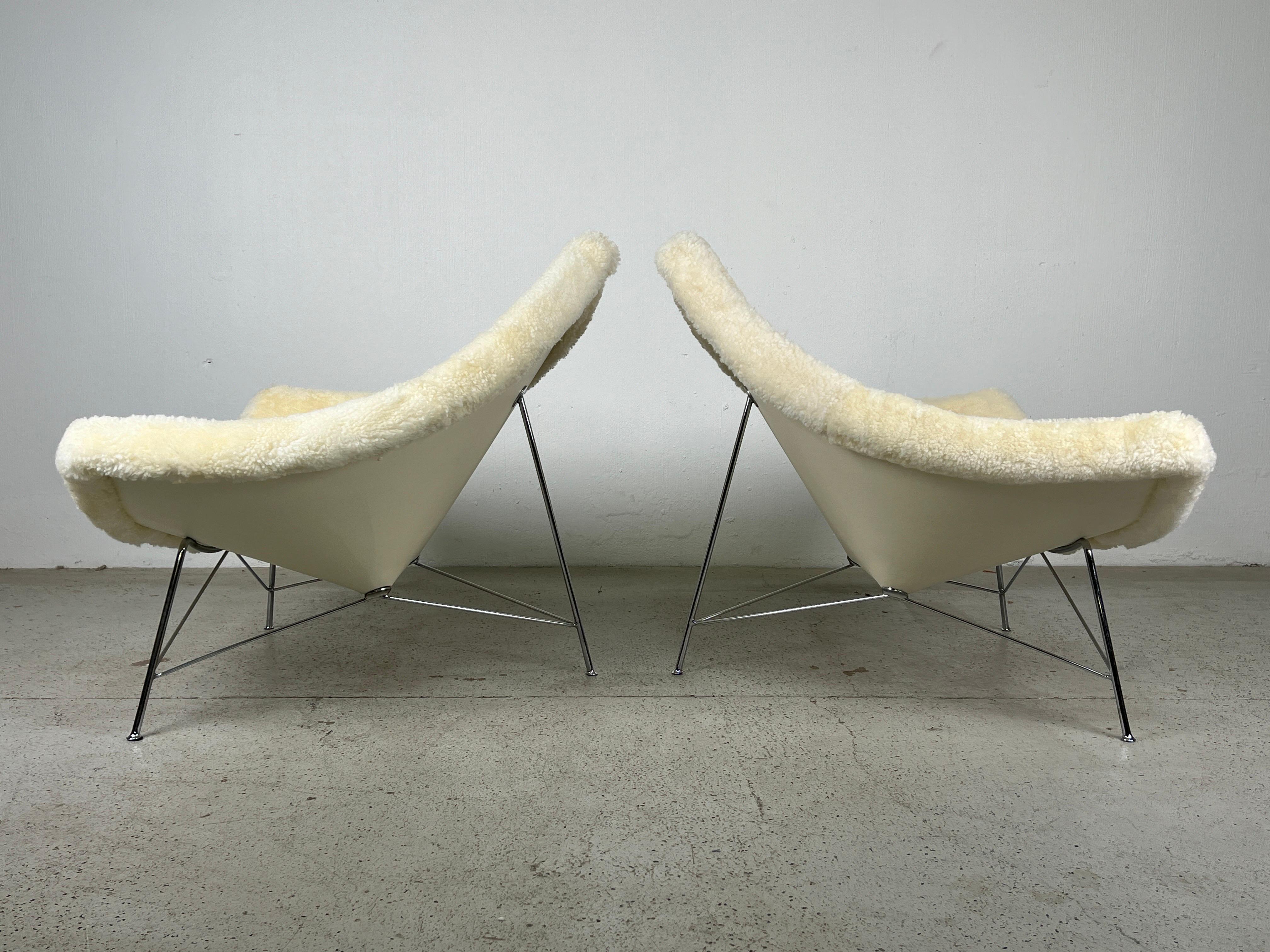 Pair of Early Coconut Chairs by George Nelson for Herman Miller in Shearling  In Good Condition For Sale In Dallas, TX