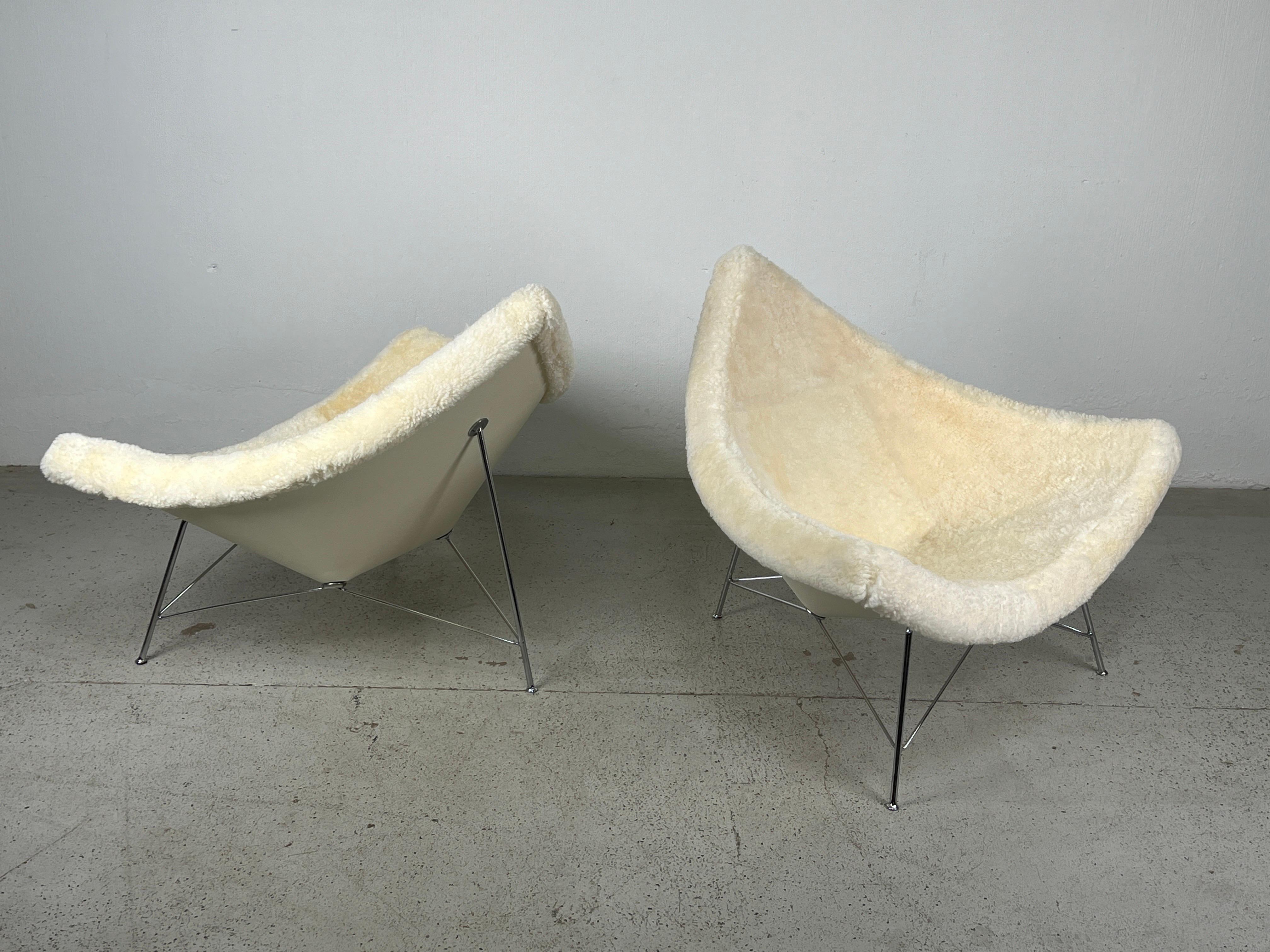 Mid-20th Century Pair of Early Coconut Chairs by George Nelson for Herman Miller in Shearling  For Sale
