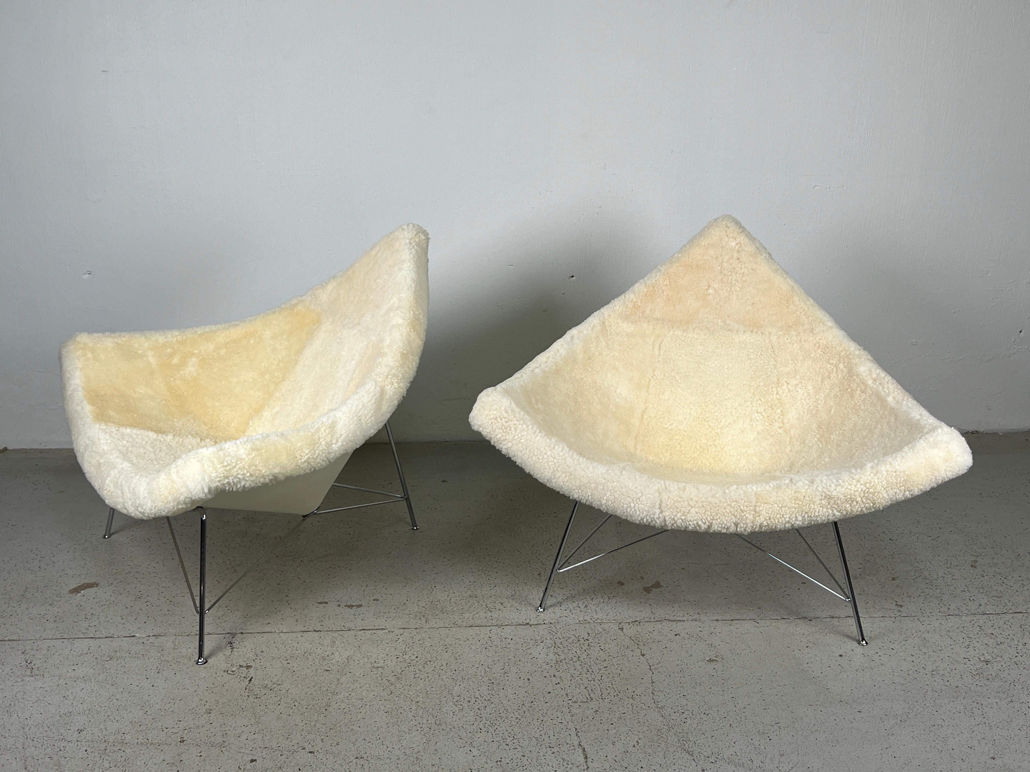 Pair of Early Coconut Chairs by George Nelson for Herman Miller in Shearling  For Sale 4