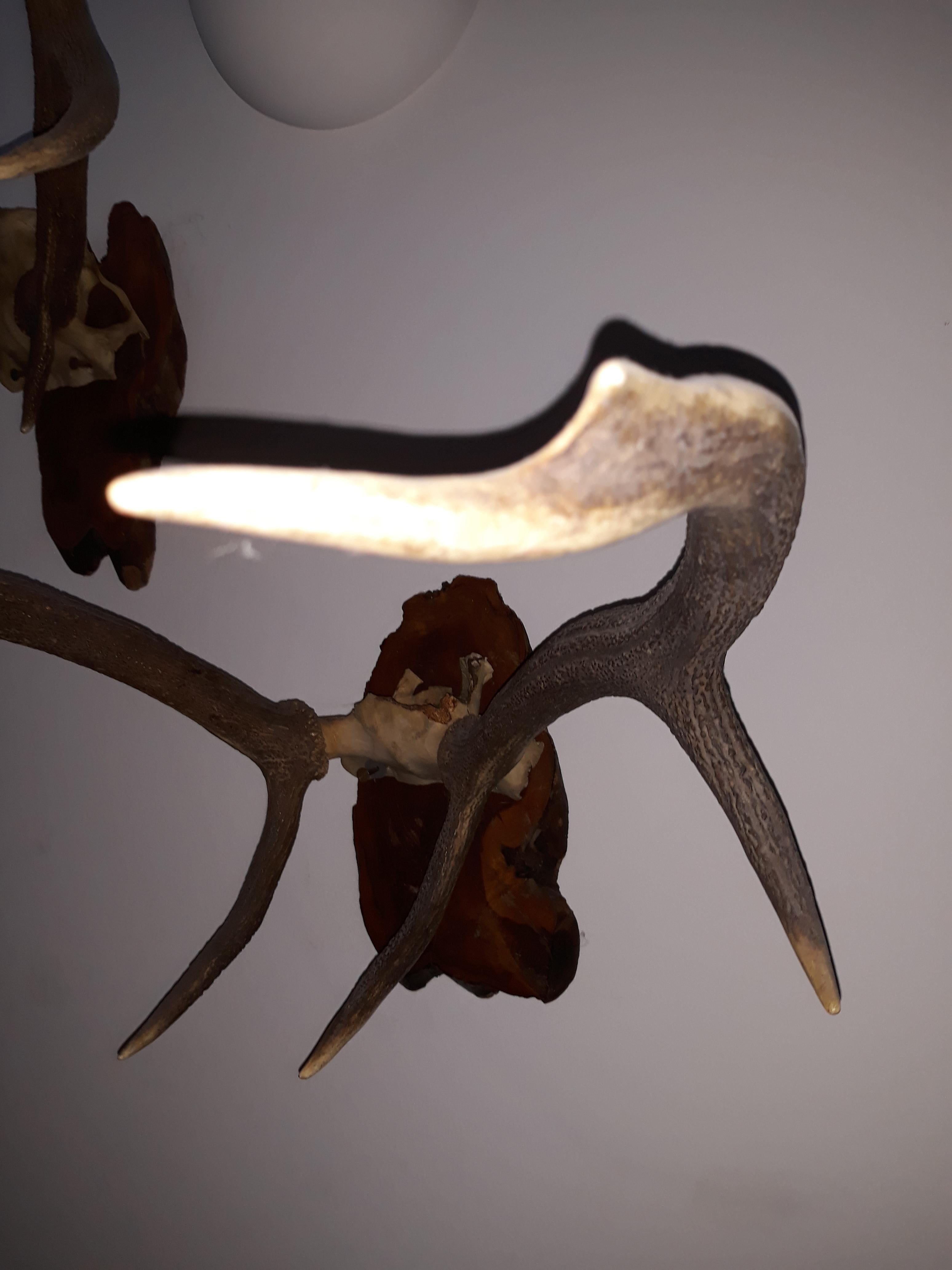 Pair of Early Deer Antler Mount On Black Forest Wood Plaque, Dated 1973 For Sale 7