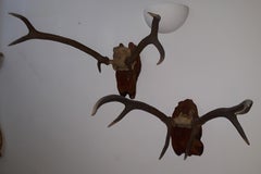 Pair of Early Deer Antler Mount On Black Forest Wood Plaque, Dated 1973