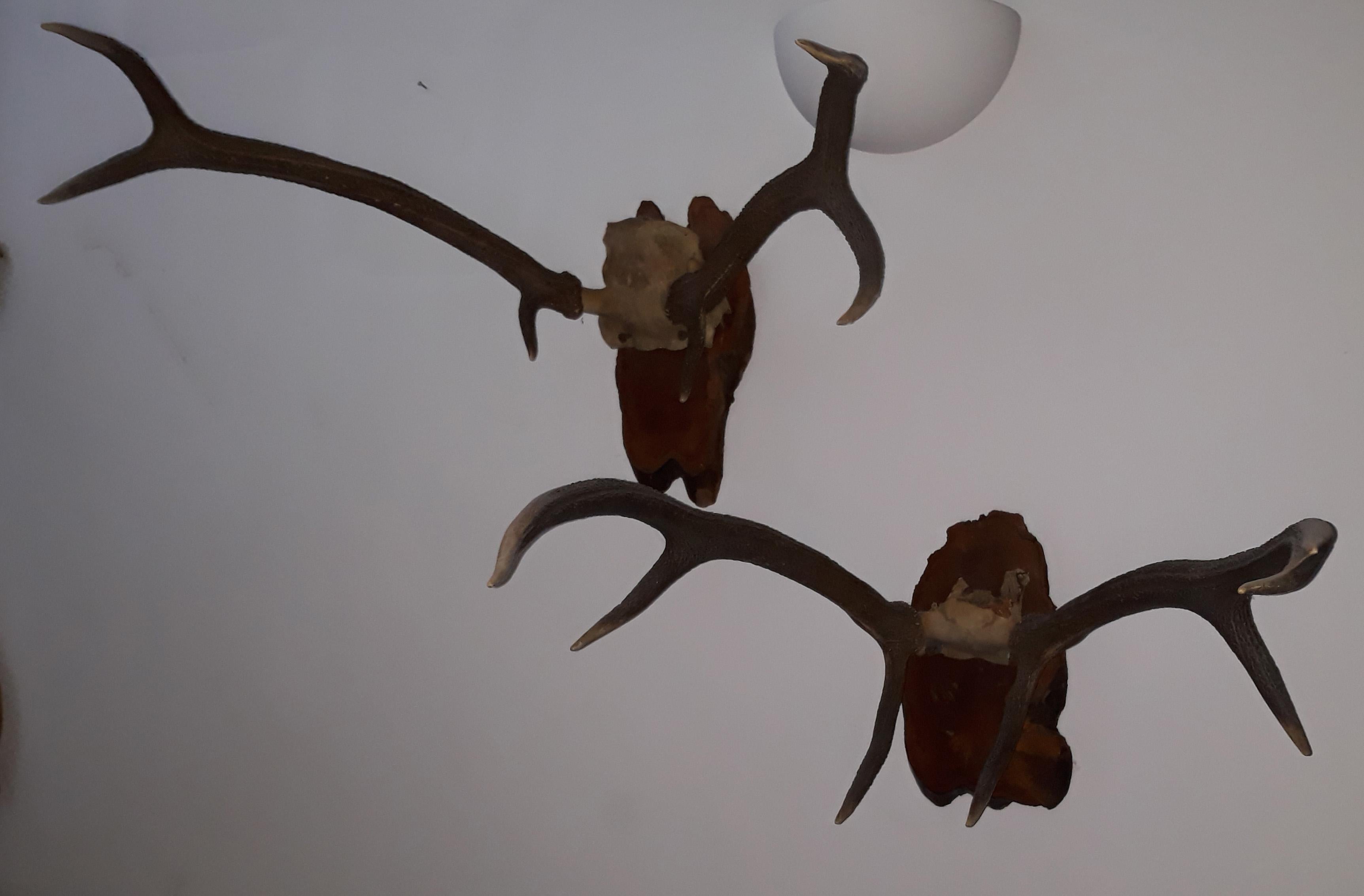 20th Century Pair of Early Deer Antler Mount On Black Forest Wood Plaque, Dated 1973 For Sale