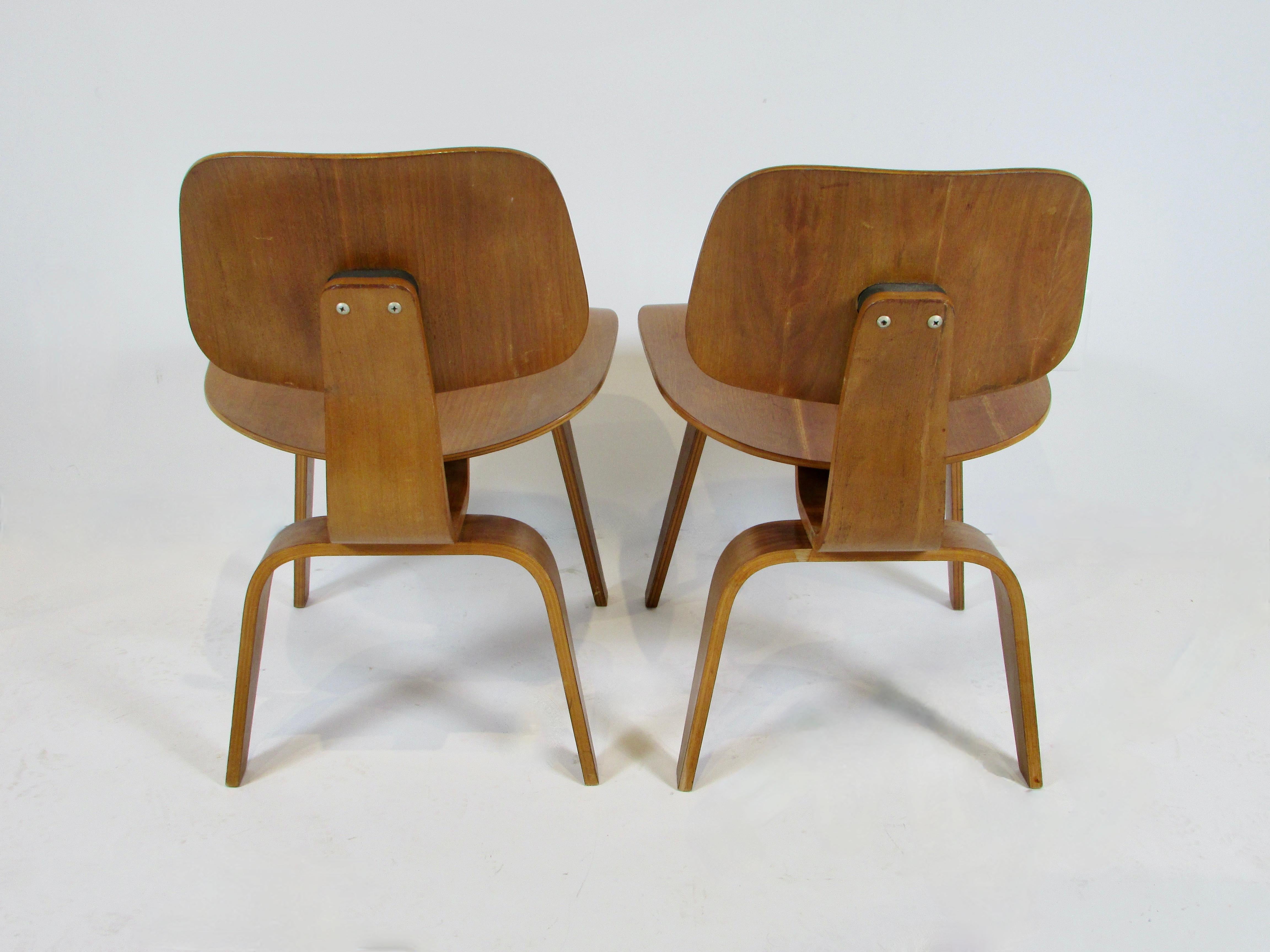 Pair of early Eames Evans Herman Miller walnut DCW chairs with labels 4