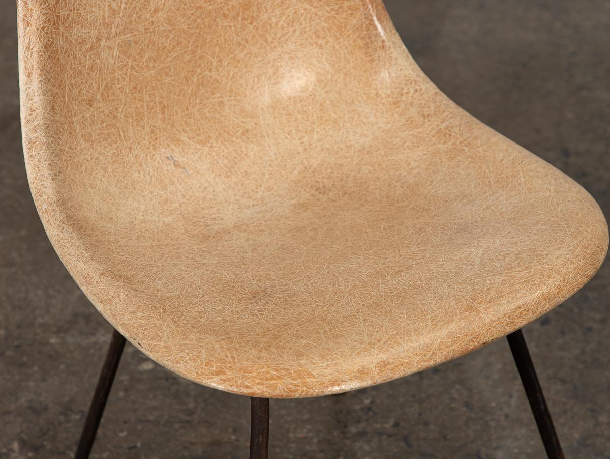 Molded Pair of Early Eames Fiberglass Shell Chairs in Tan For Sale