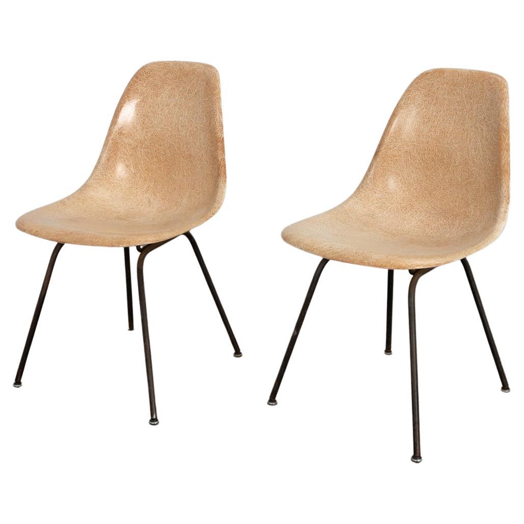 Pair of Early Eames Fiberglass Shell Chairs in Tan For Sale