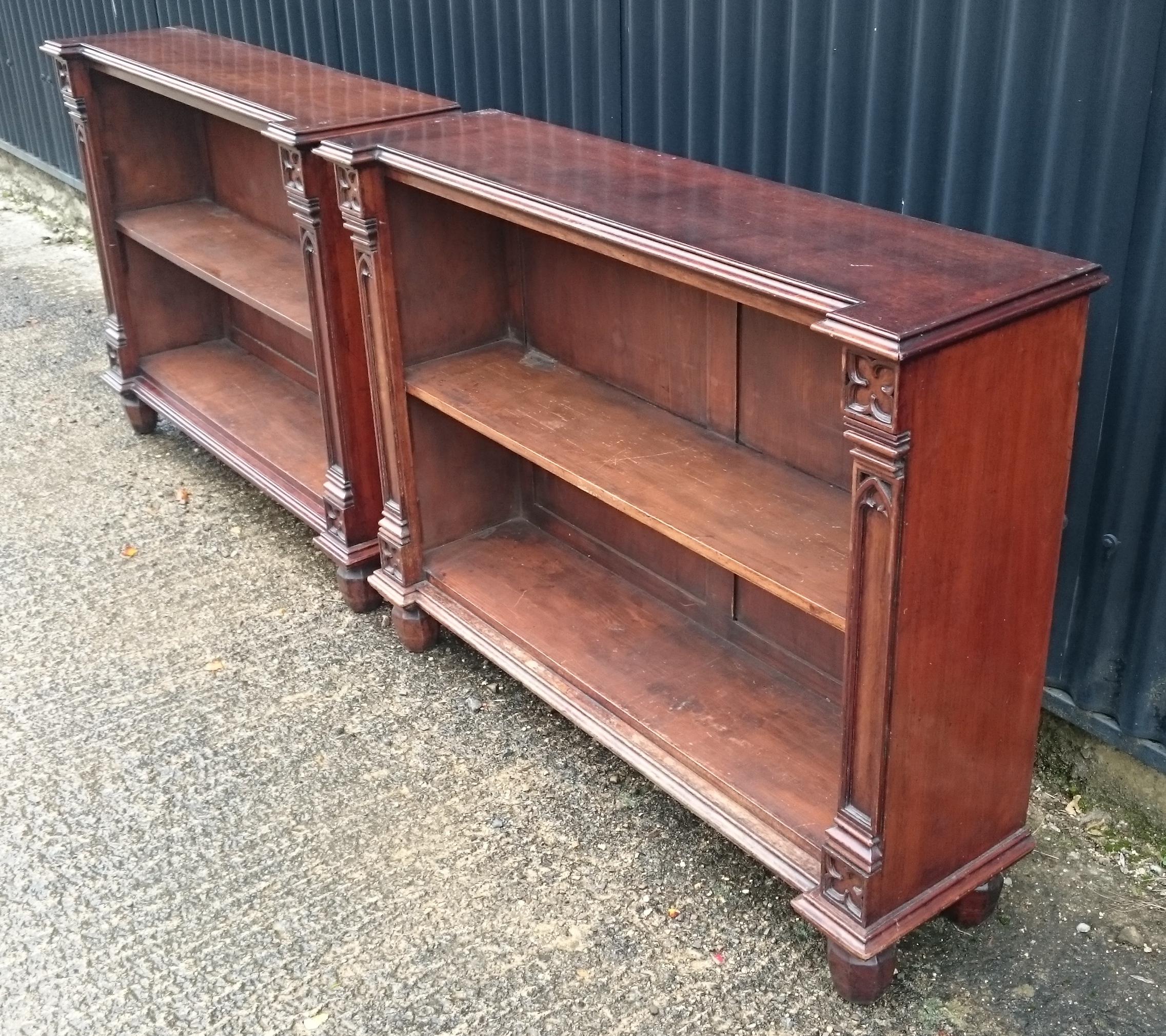 British Pair of Early 19th Century Bookcases For Sale