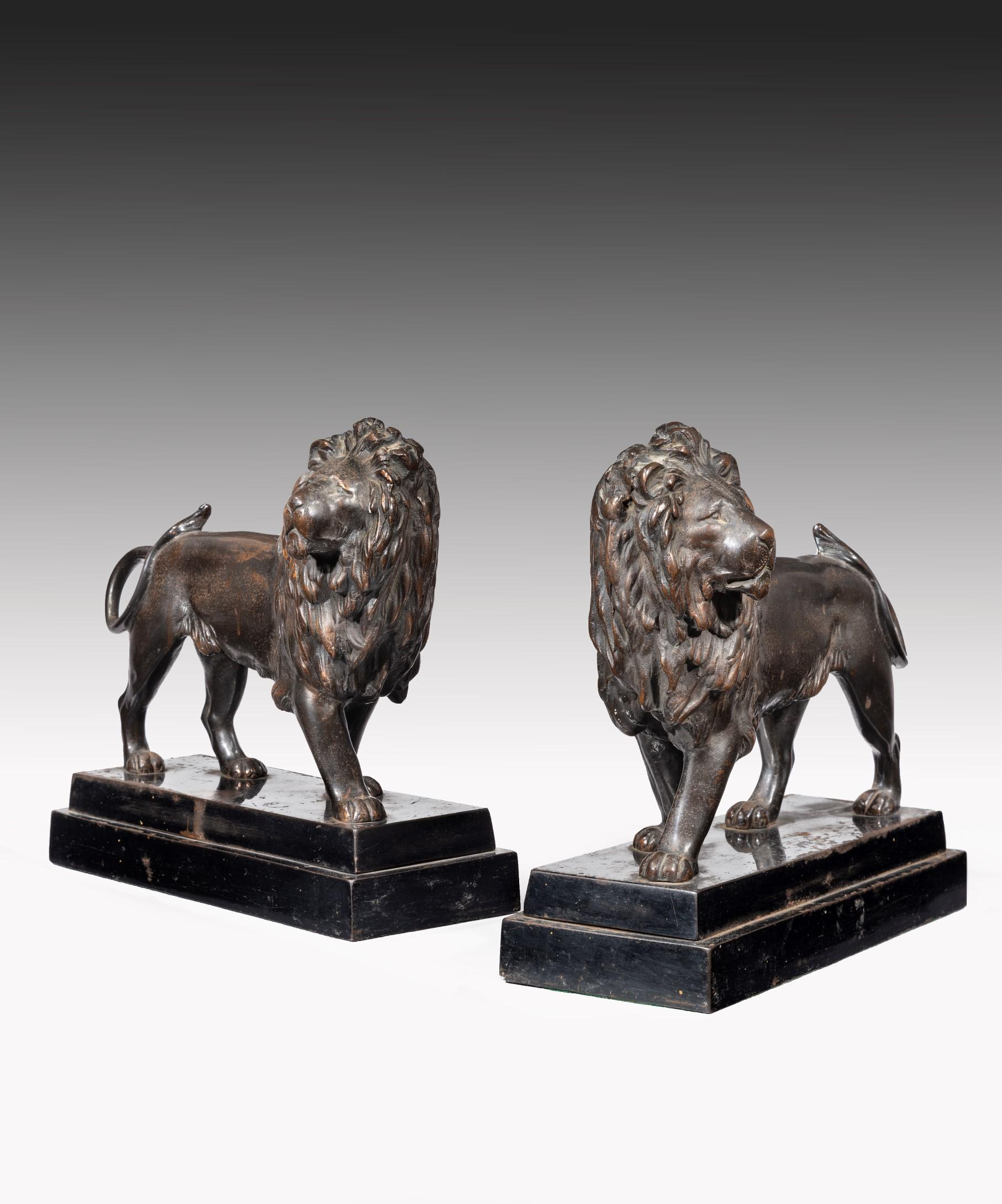 A handsome pair of early 19th century Regency period cast iron lions; the lions with long, shaggy manes and twirling tails are standing on their original stepped plinths.
