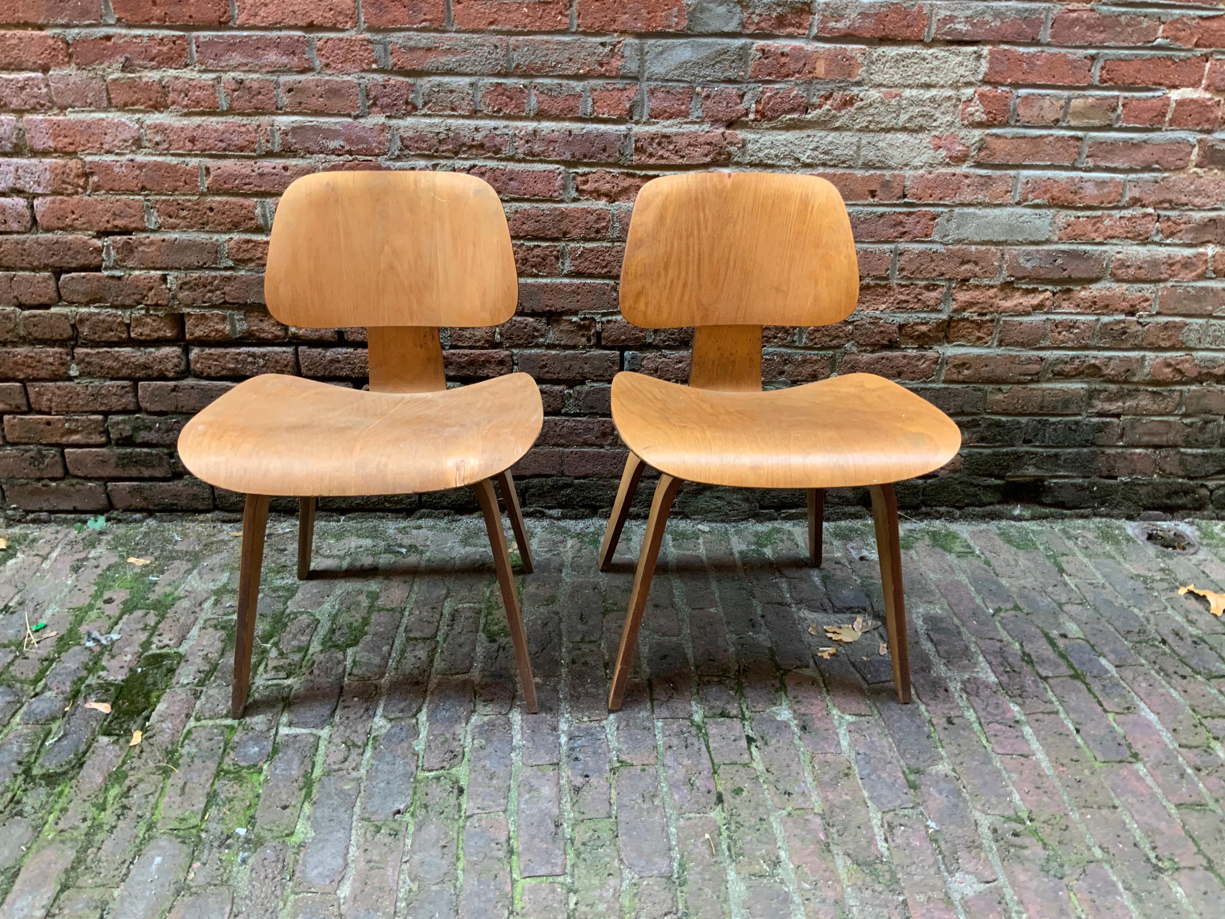 Birch laminate bentwood LCWs designed by Charles and Ray Eames. Early Post-War production. 5/2/4 screw configuration on the underside, circa 1950. Good original finish with minor staining. Original shock mounts with no visible dry rot or re-gluing.