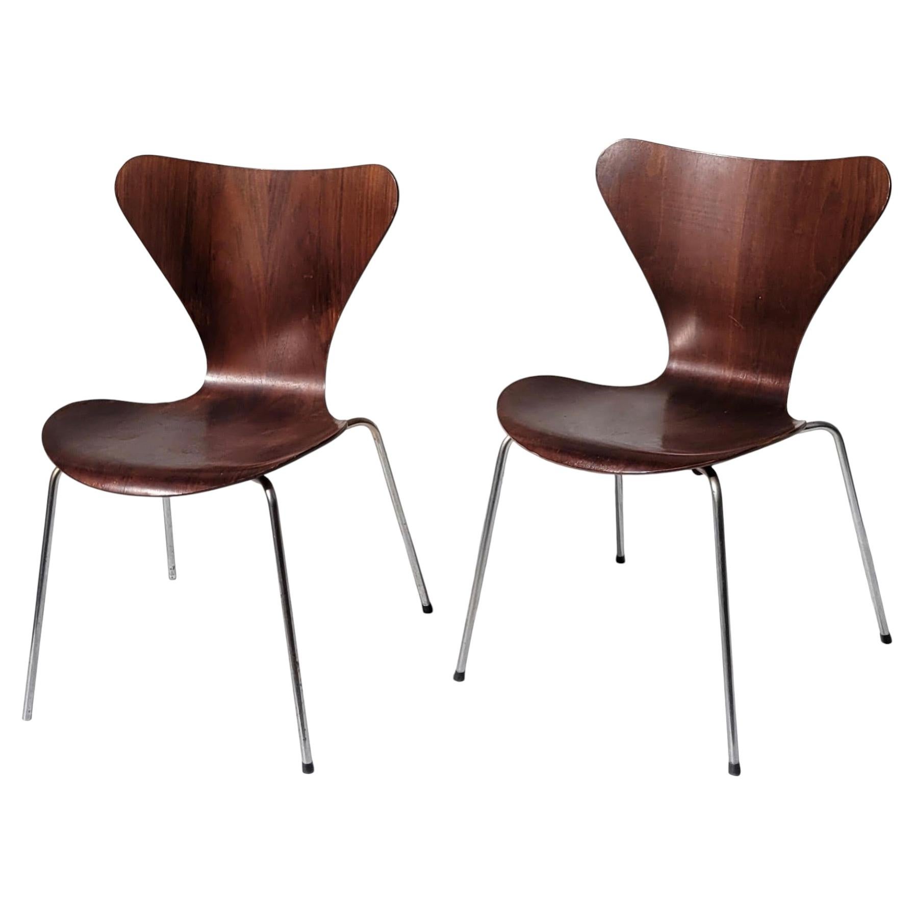 Pair of early Series 7 Chairs in Walnut Model 3107 Arne Jacobsen Fritz Hansen