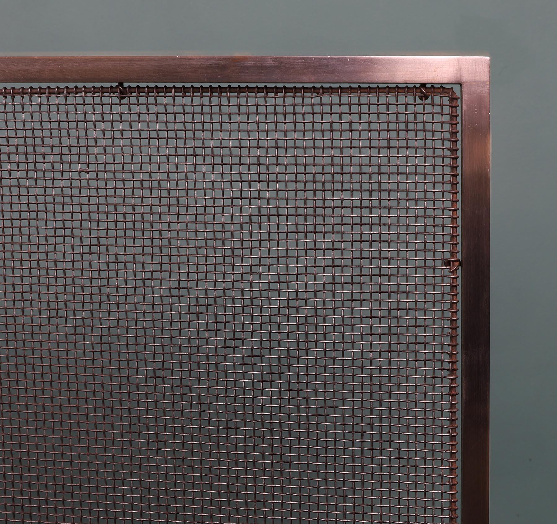Pair of Early Twentieth Century Polished Stainless Steel Fire Screens In Good Condition In London, GB