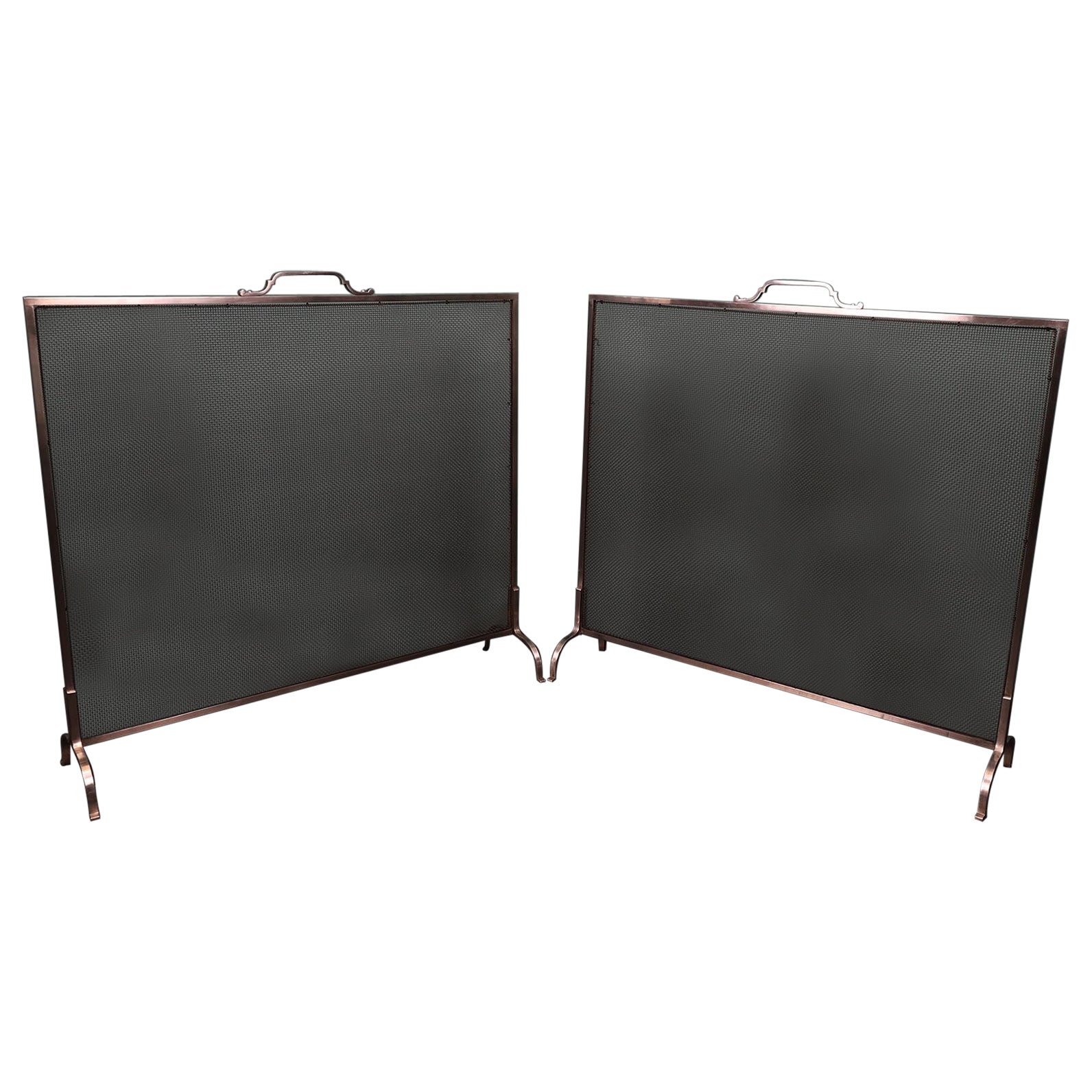 Pair of Early Twentieth Century Polished Stainless Steel Fire Screens