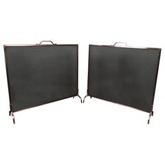 Pair of Early Twentieth Century Polished Stainless Steel Fire Screens