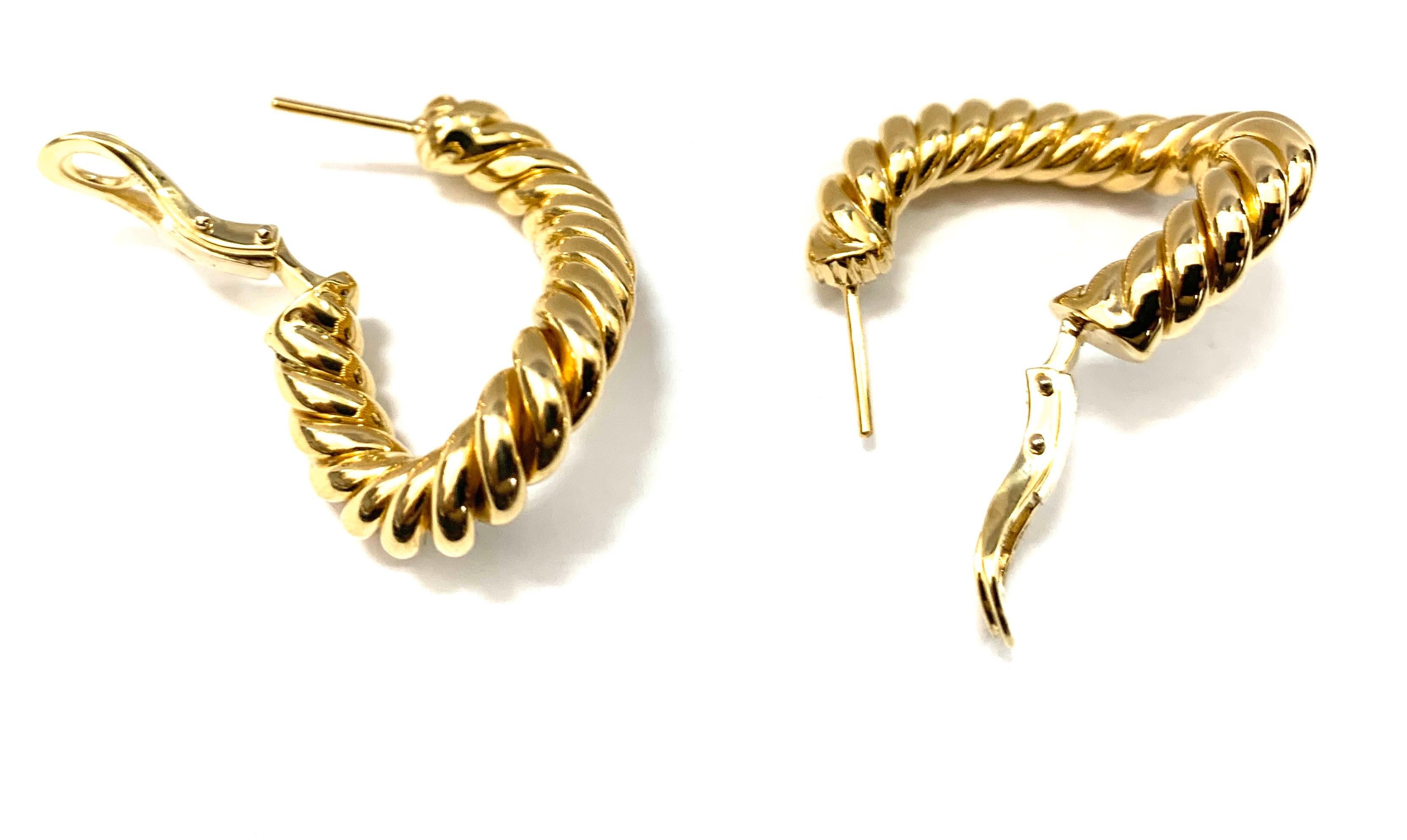 Pair of Earrings from the Collection 