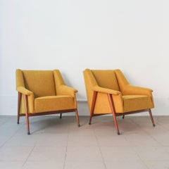 Pair of Easy Chairs, by José Espinho for Olaio, 1959