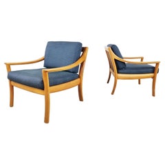 Pair of Easy Chairs by Wilhelm Knoll, 1960s